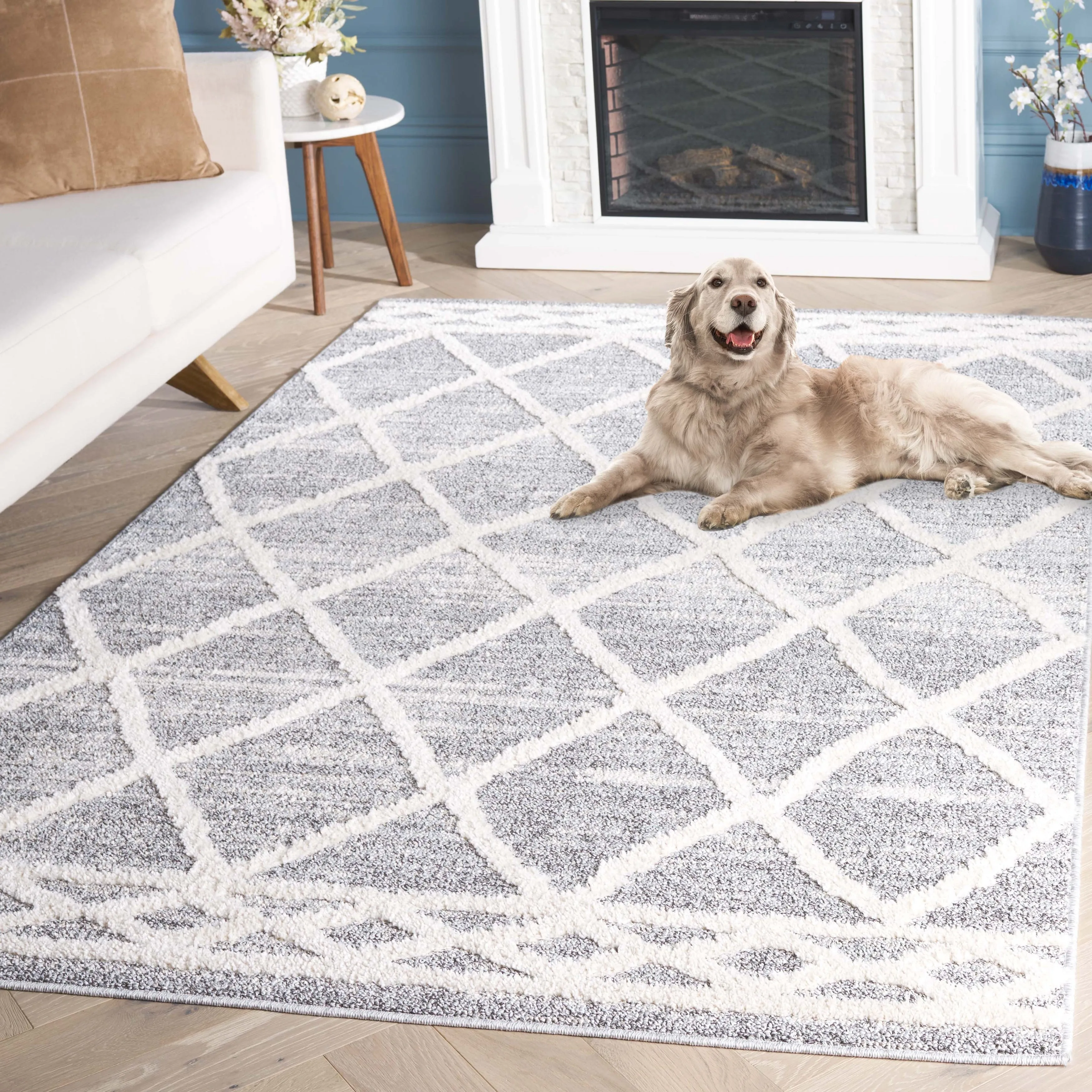 Martha Stewart Lucia Shag Eylem Contemporary Rug