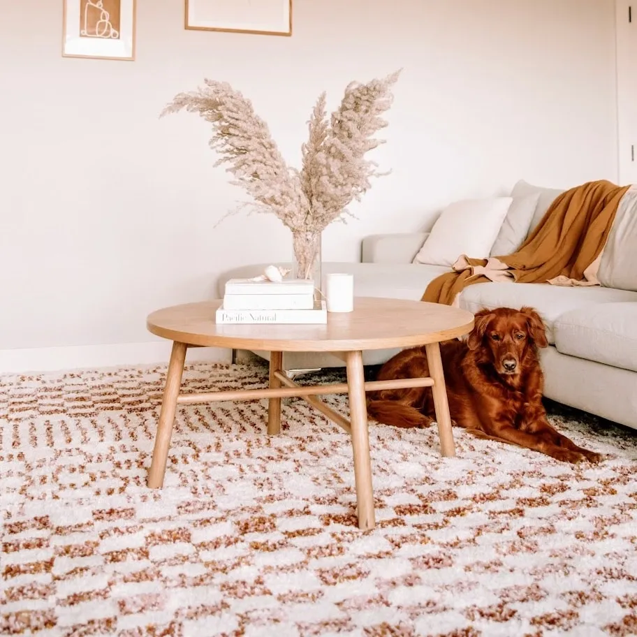 Mendieta Checkered Shag Area Rug