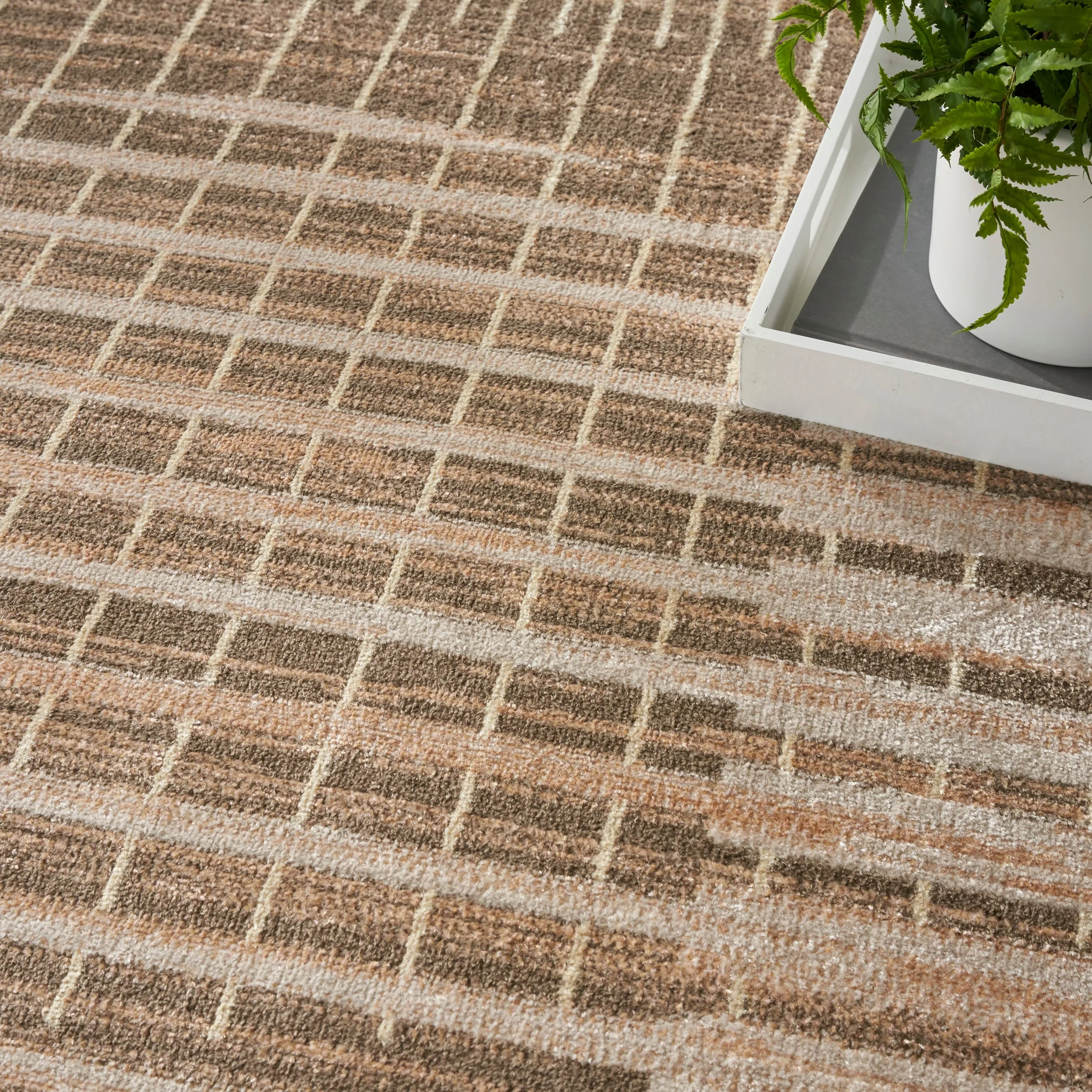 Nourison Astra Machine Washable Indoor Only Graphic Area Rug