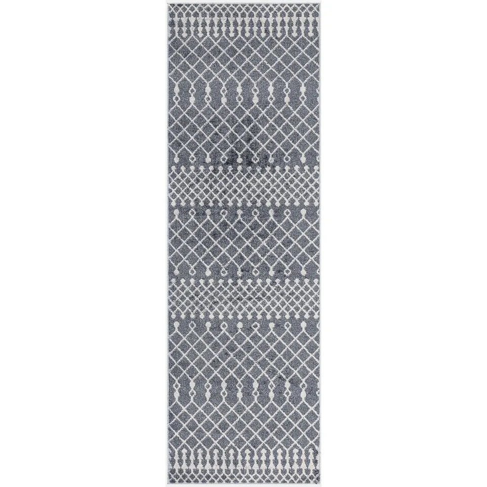 Nourison Astra Machine Washable Moroccan Area Rug