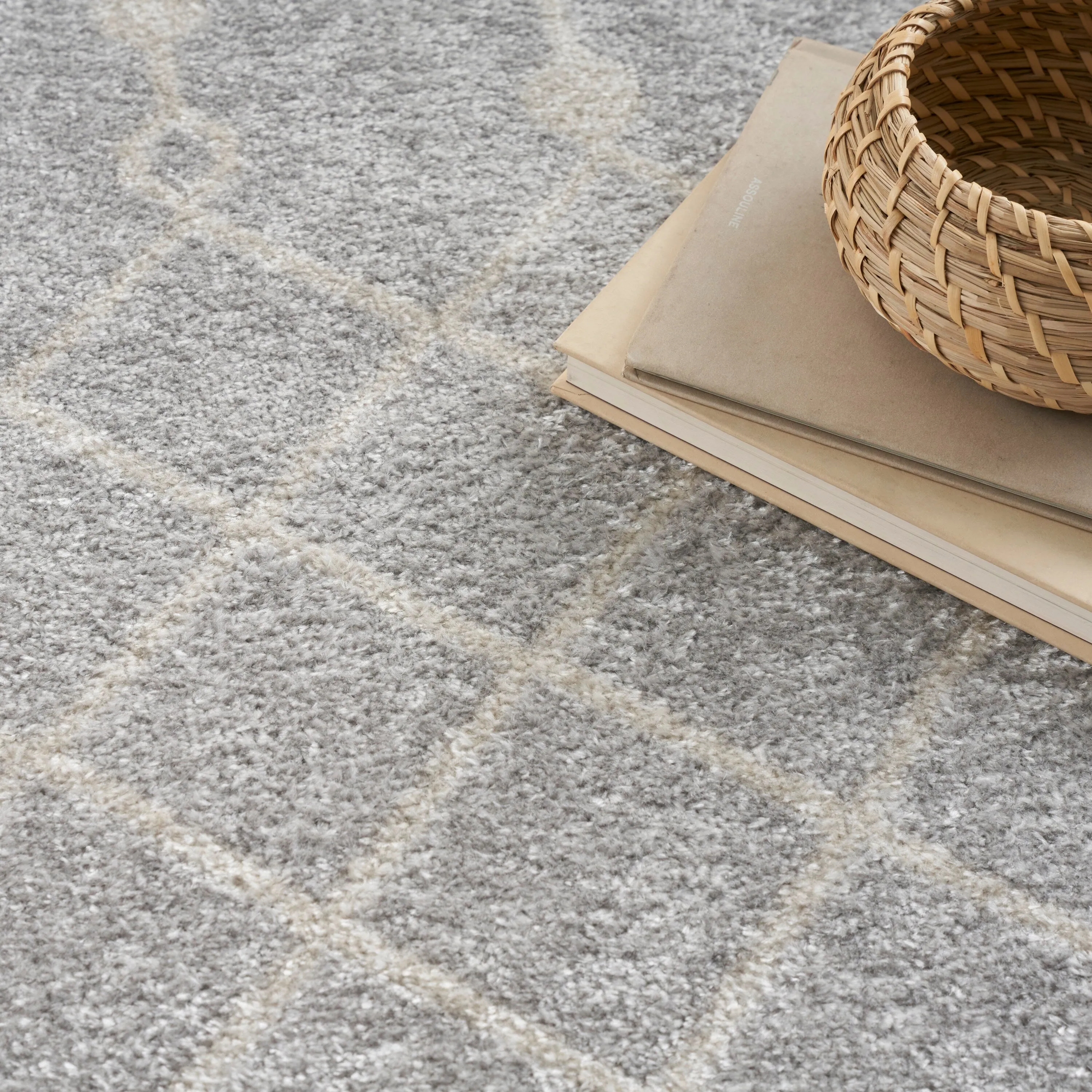 Nourison Astra Machine Washable Moroccan Area Rug