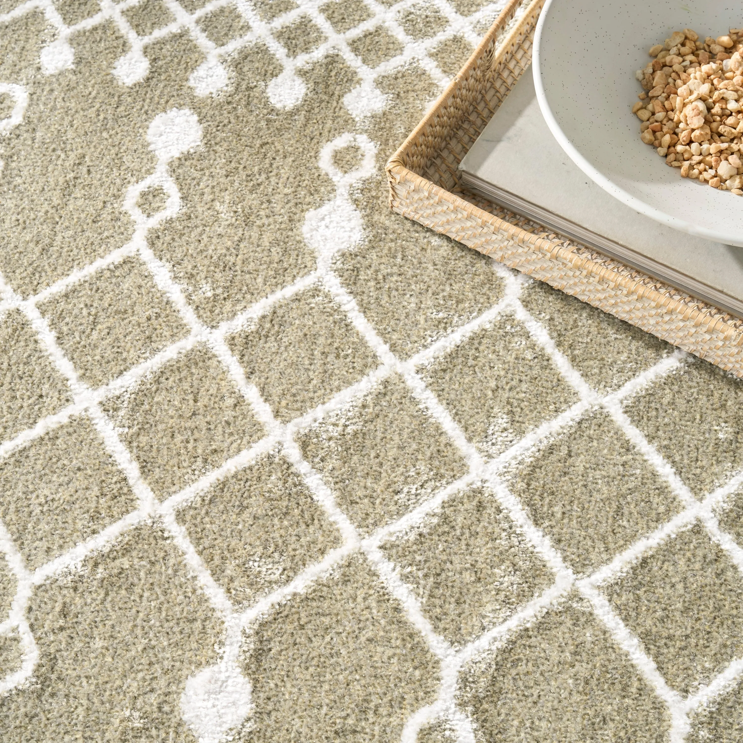 Nourison Astra Machine Washable Moroccan Area Rug