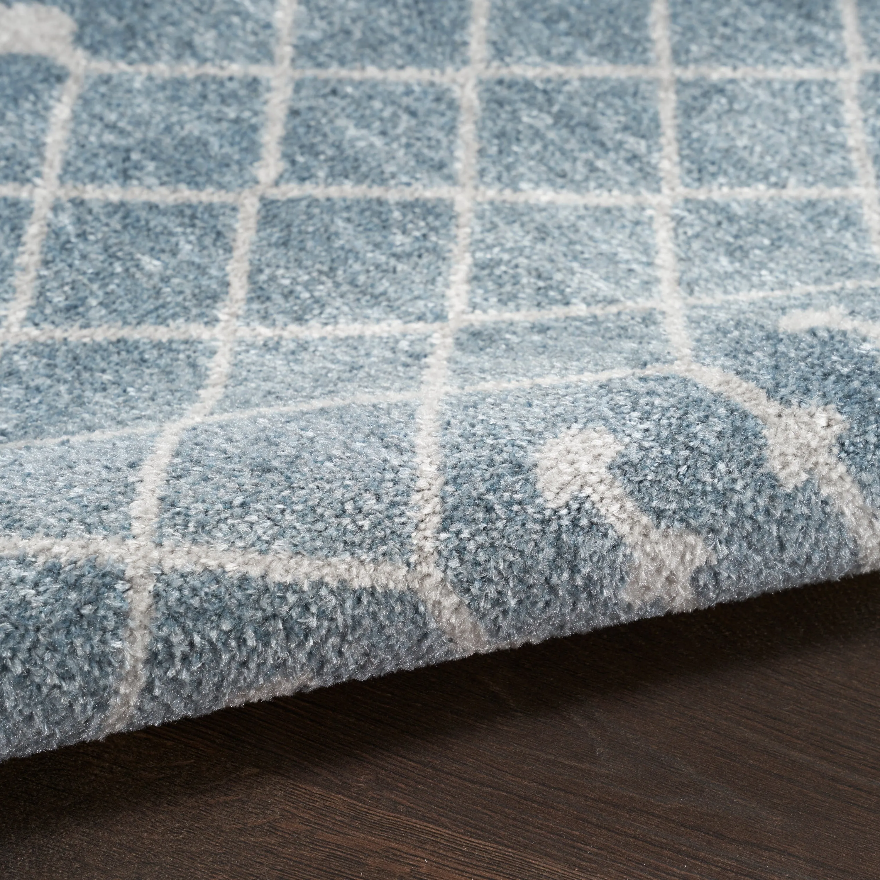 Nourison Astra Machine Washable Moroccan Area Rug