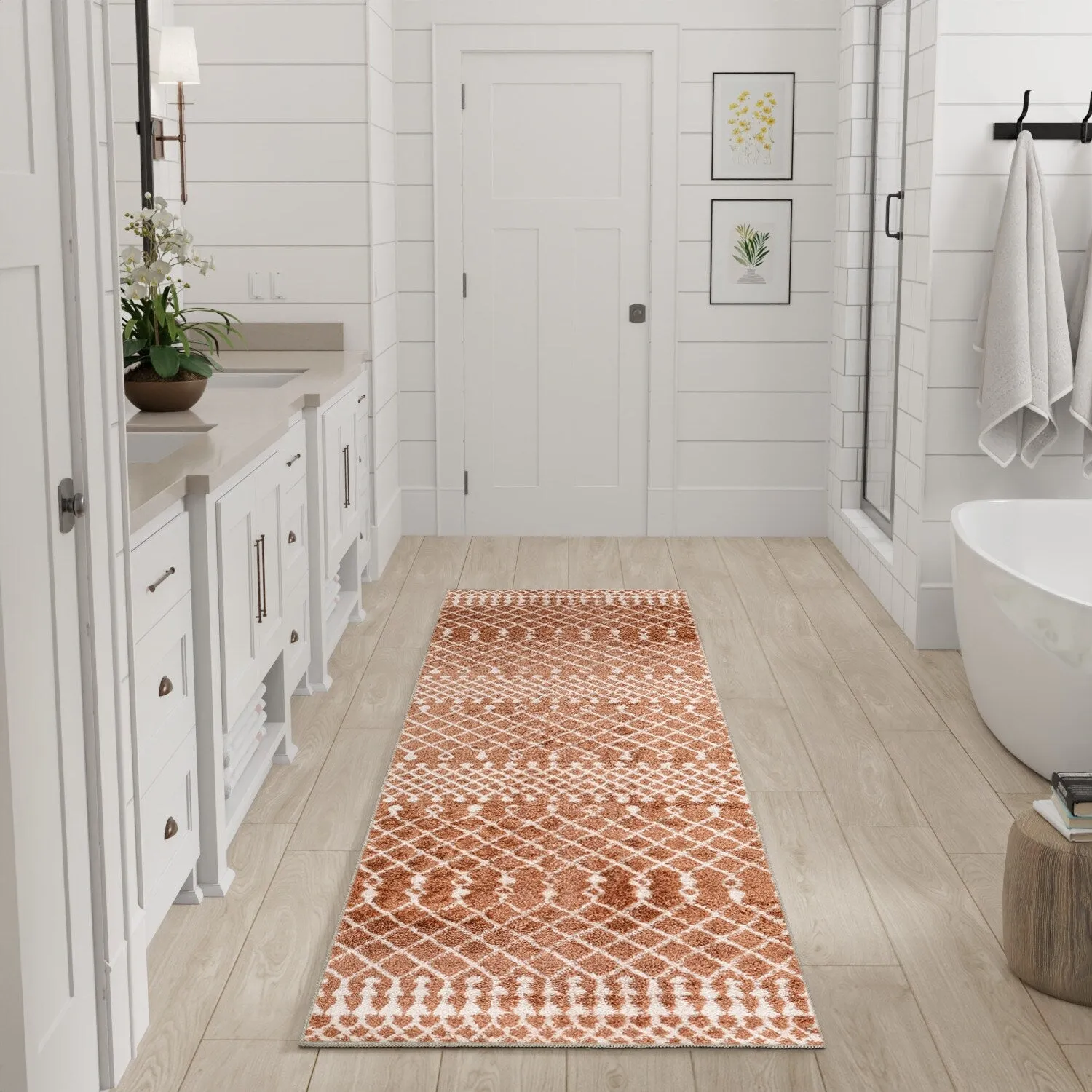 Nourison Astra Machine Washable Moroccan Area Rug