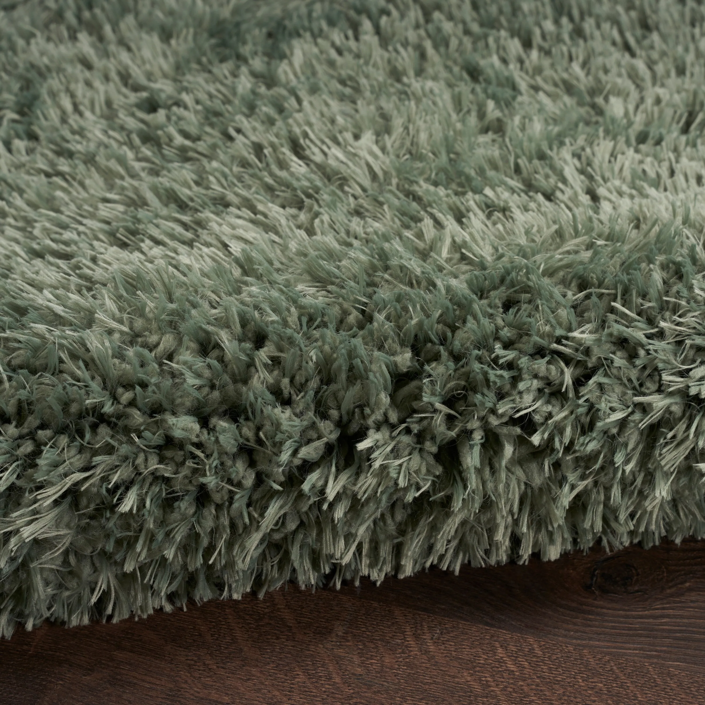 Nourison Lush Shag Contemporary Solid Shag Area Rug