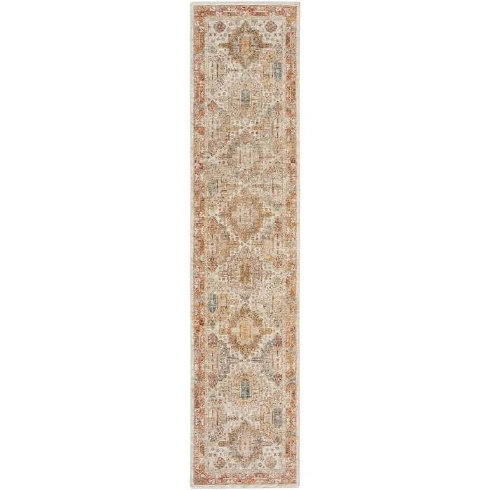 Nourison Petra Traditional Vintage Persian Area Rug