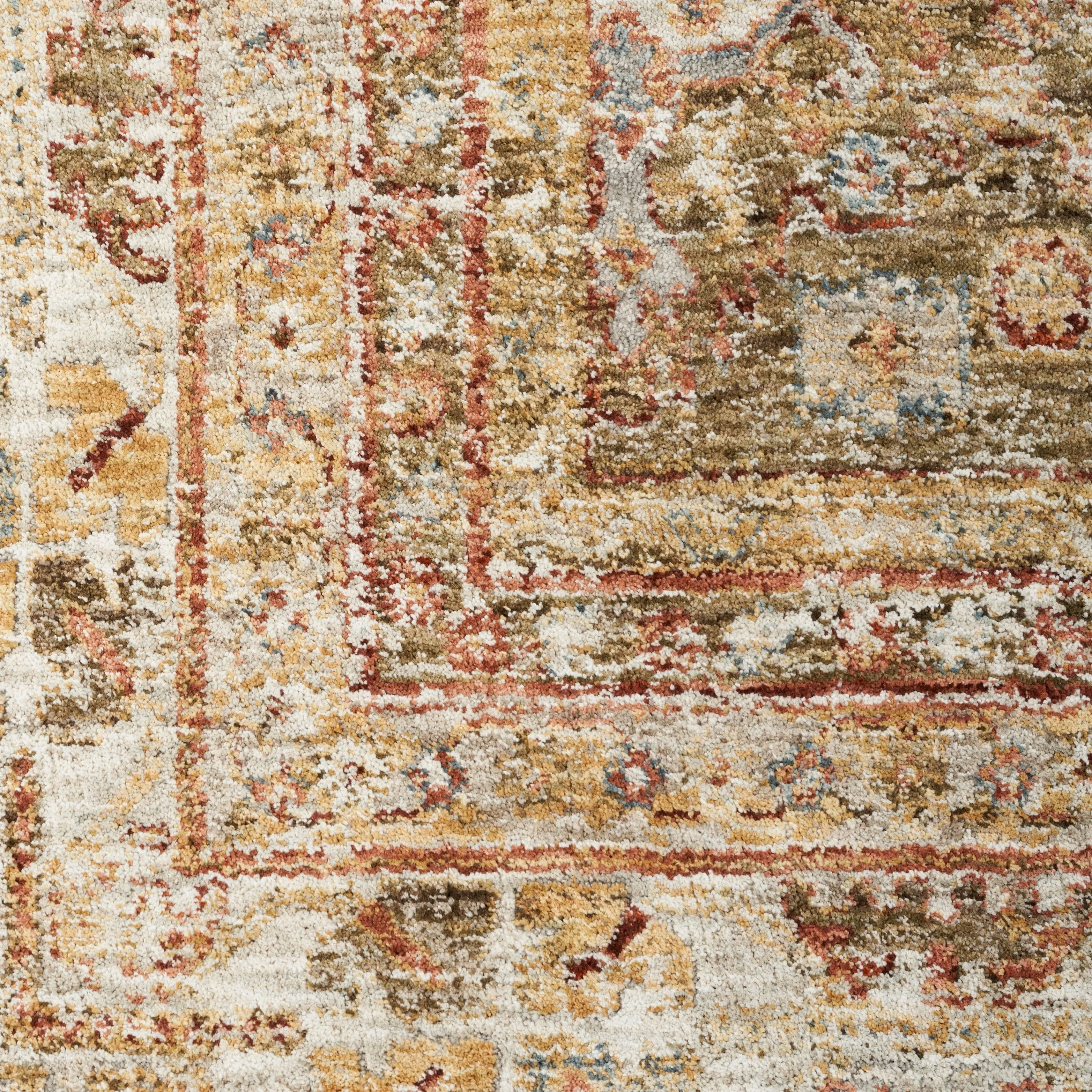 Nourison Petra Traditional Vintage Persian Area Rug