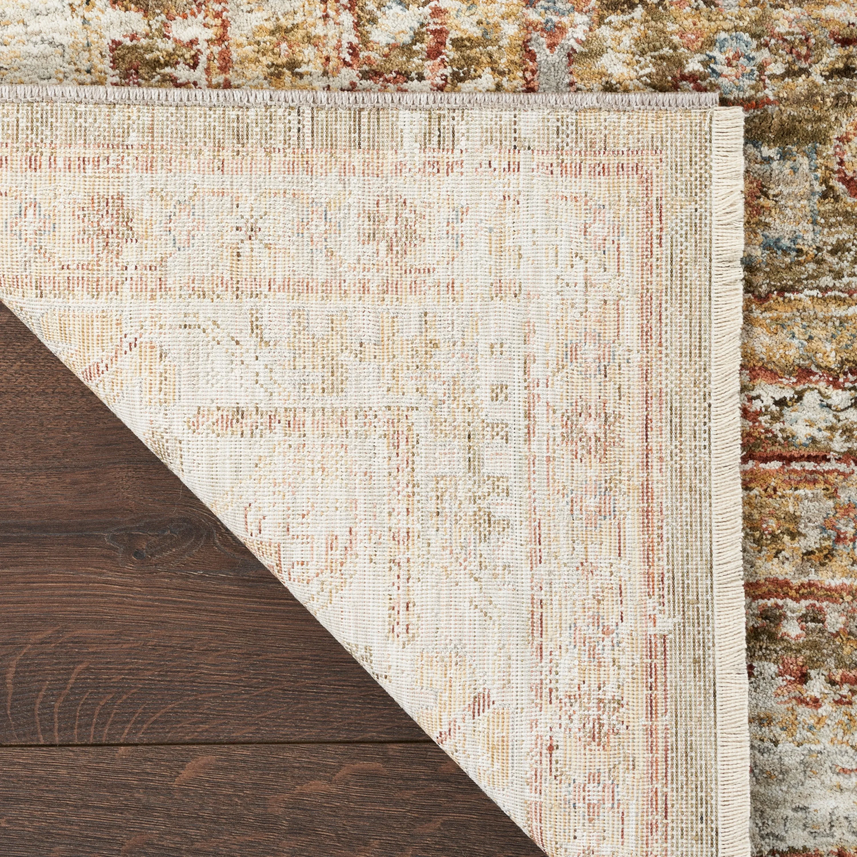 Nourison Petra Traditional Vintage Persian Area Rug