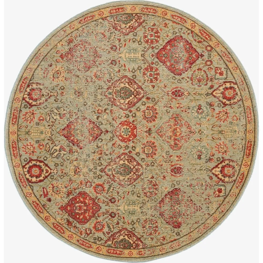 Nourison Somerset Vintage Traditional Brick Red Area Rug