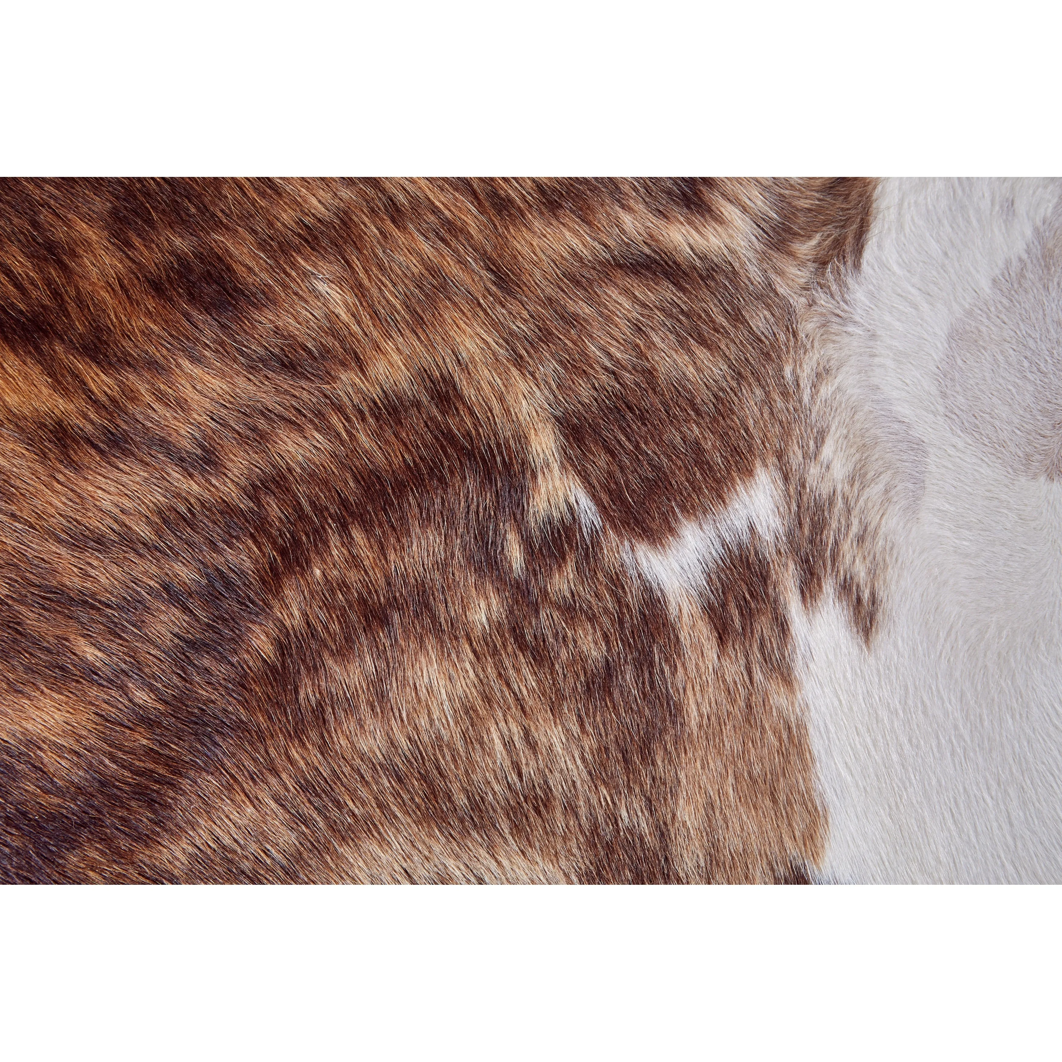 Oakdale Premium On-Hair Cowhide. Brindle Dark Brown. Small