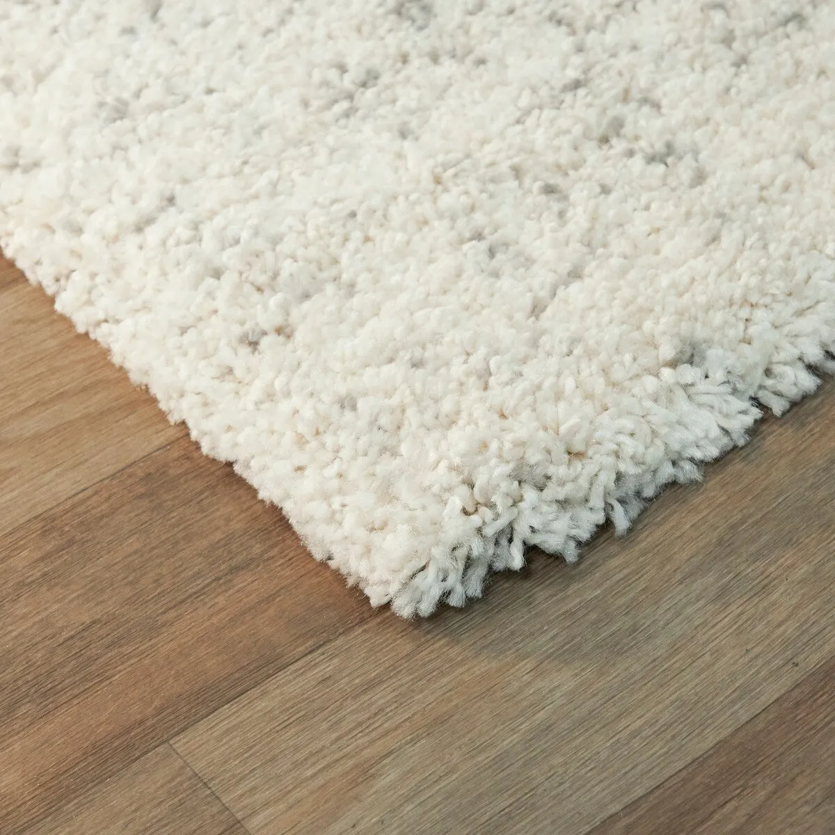 Patterson Ombre Coastal Shag Area Rug