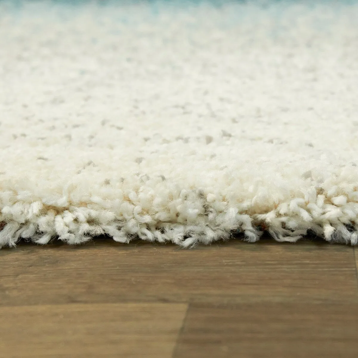 Patterson Ombre Coastal Shag Area Rug