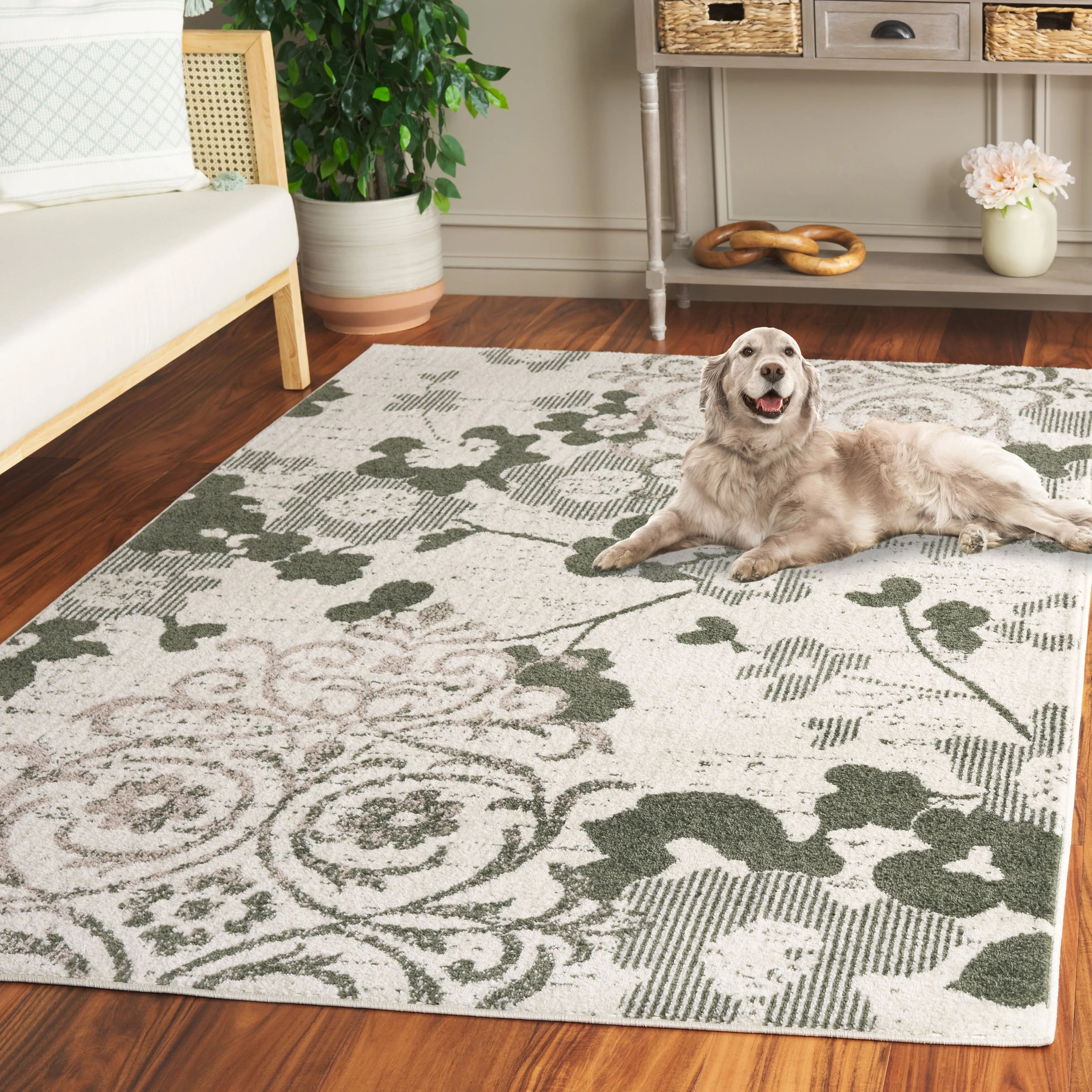 SAFAVIEH. Adirondack Rena Damask Floral Distressed Rug