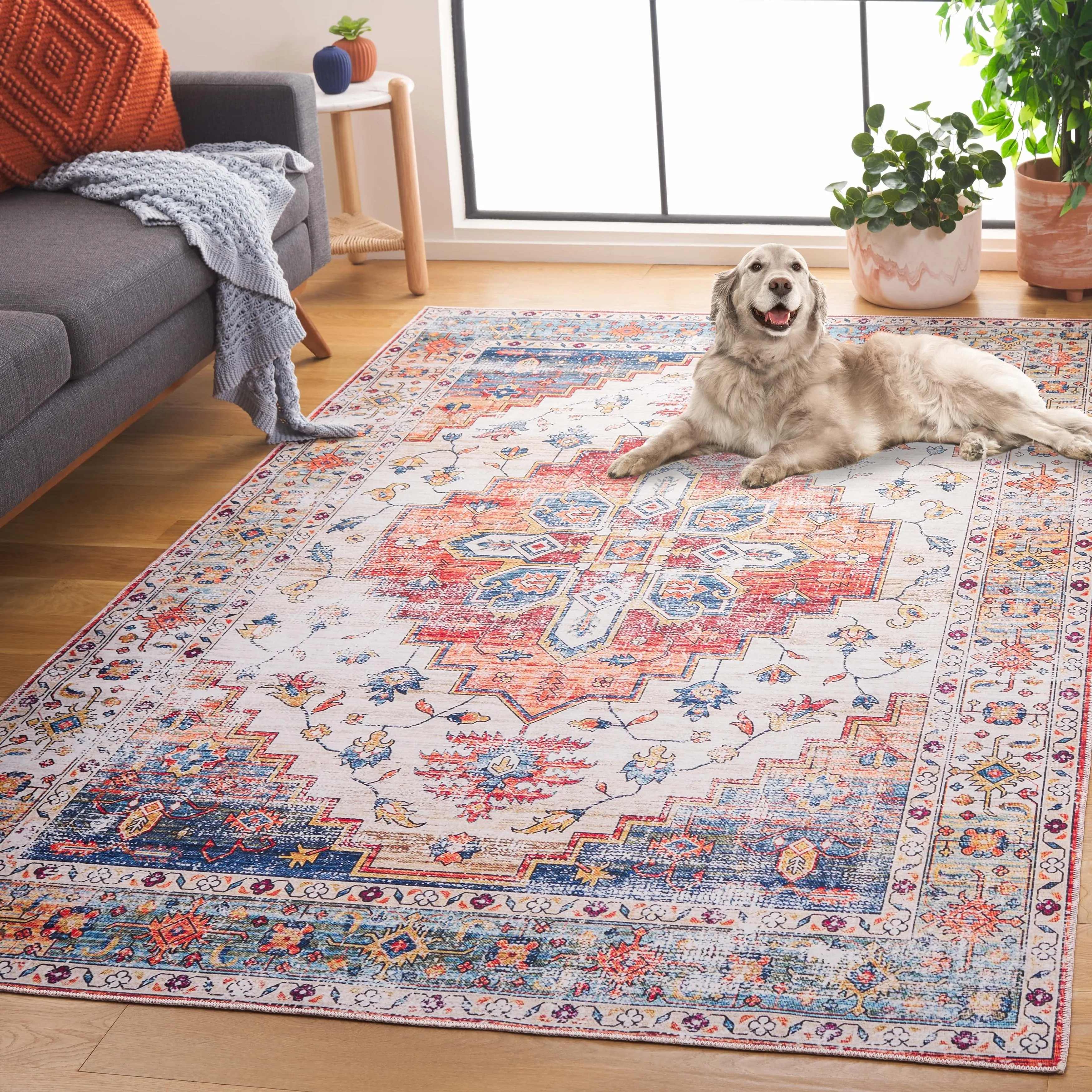 SAFAVIEH Arizona Grytsje Vintage Machine Washable Rug.