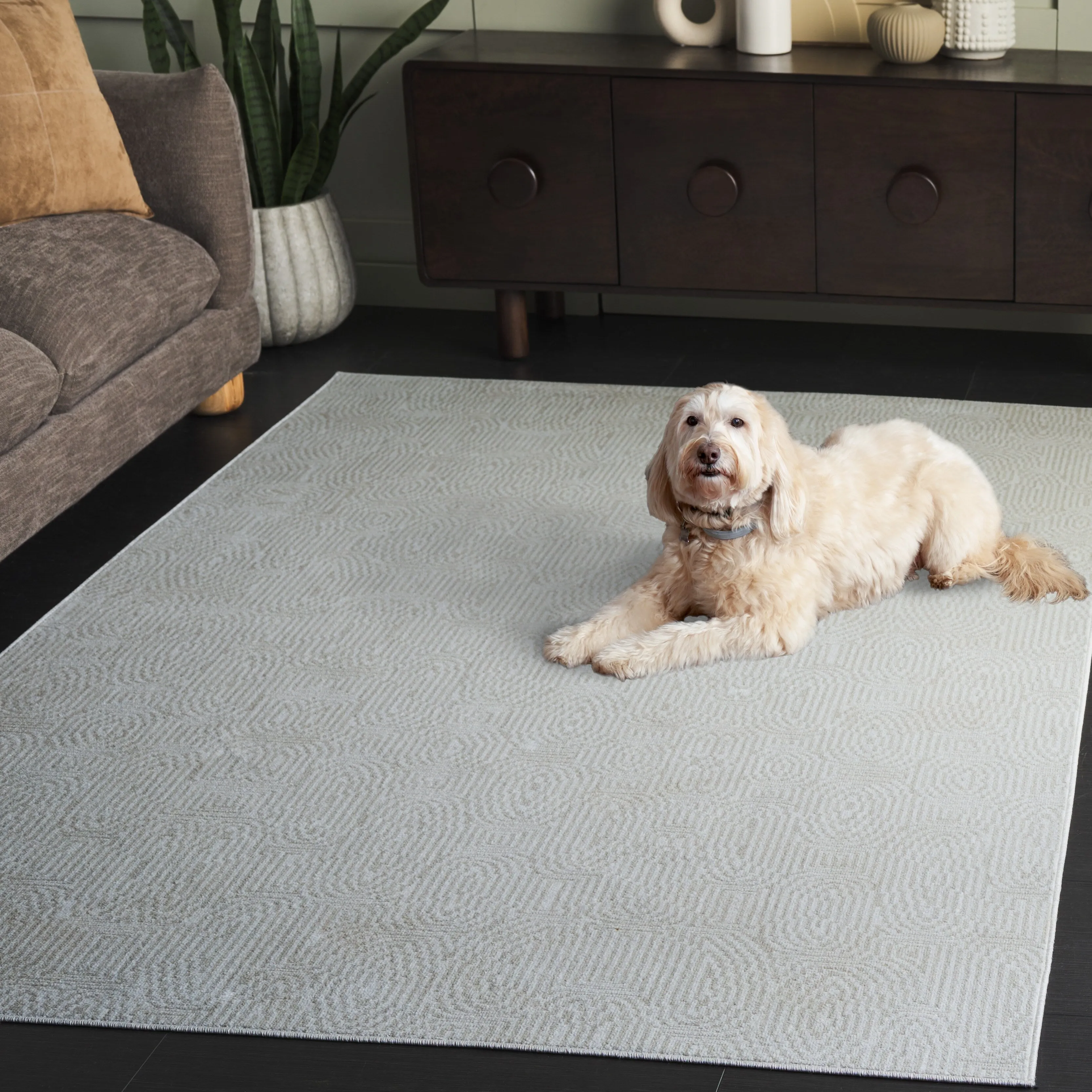 SAFAVIEH Bayside Dijanka Machine Washable Rug