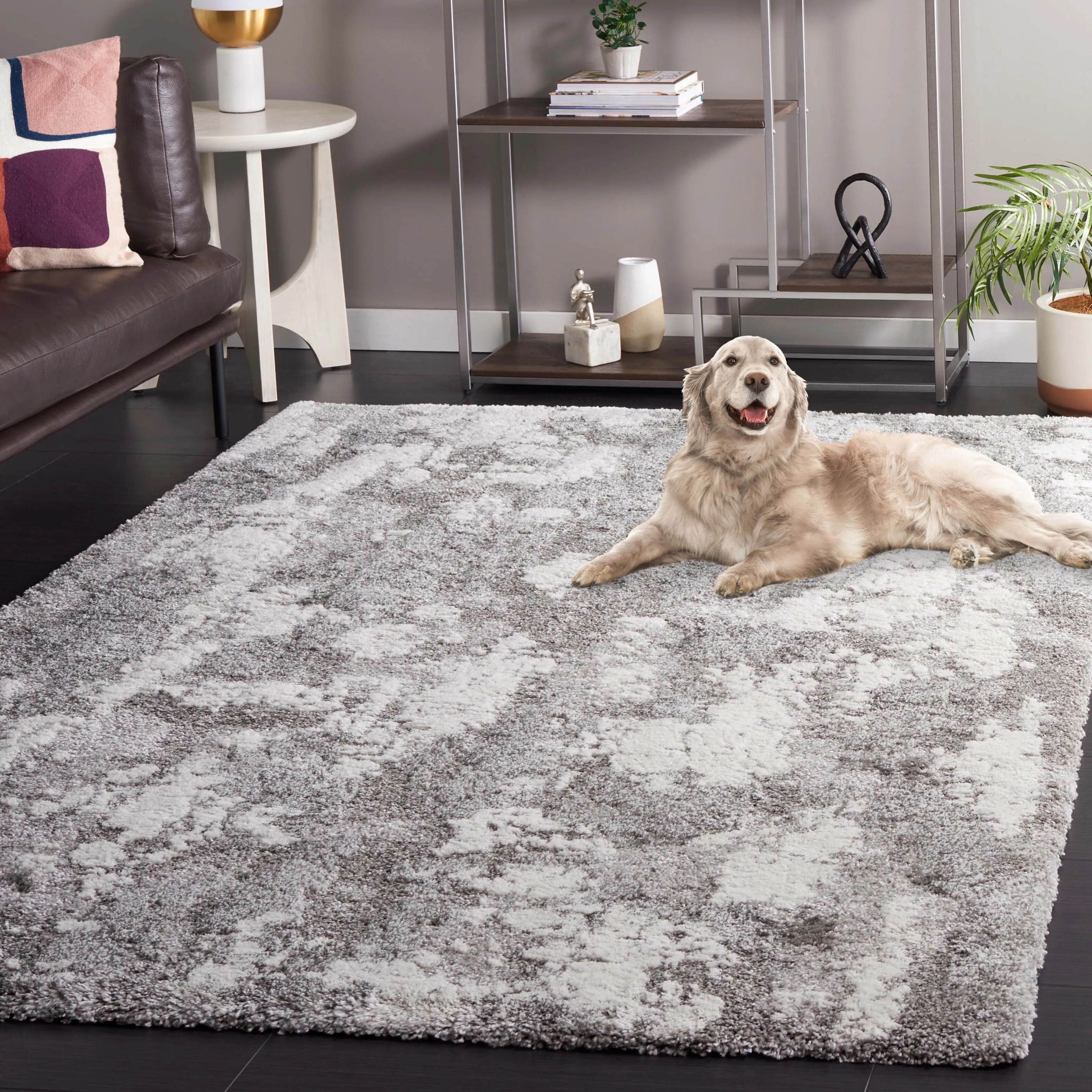 SAFAVIEH Century Finie Contemporary Rug