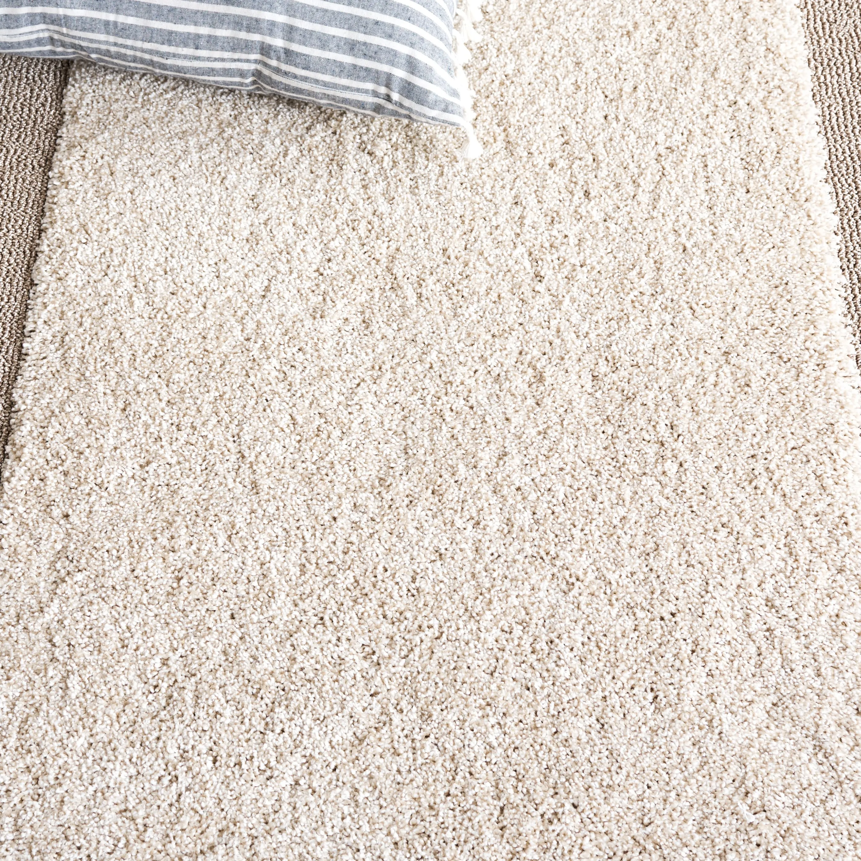 SAFAVIEH Florida Shag Antigoni Border 1.2-inch Thick Rug