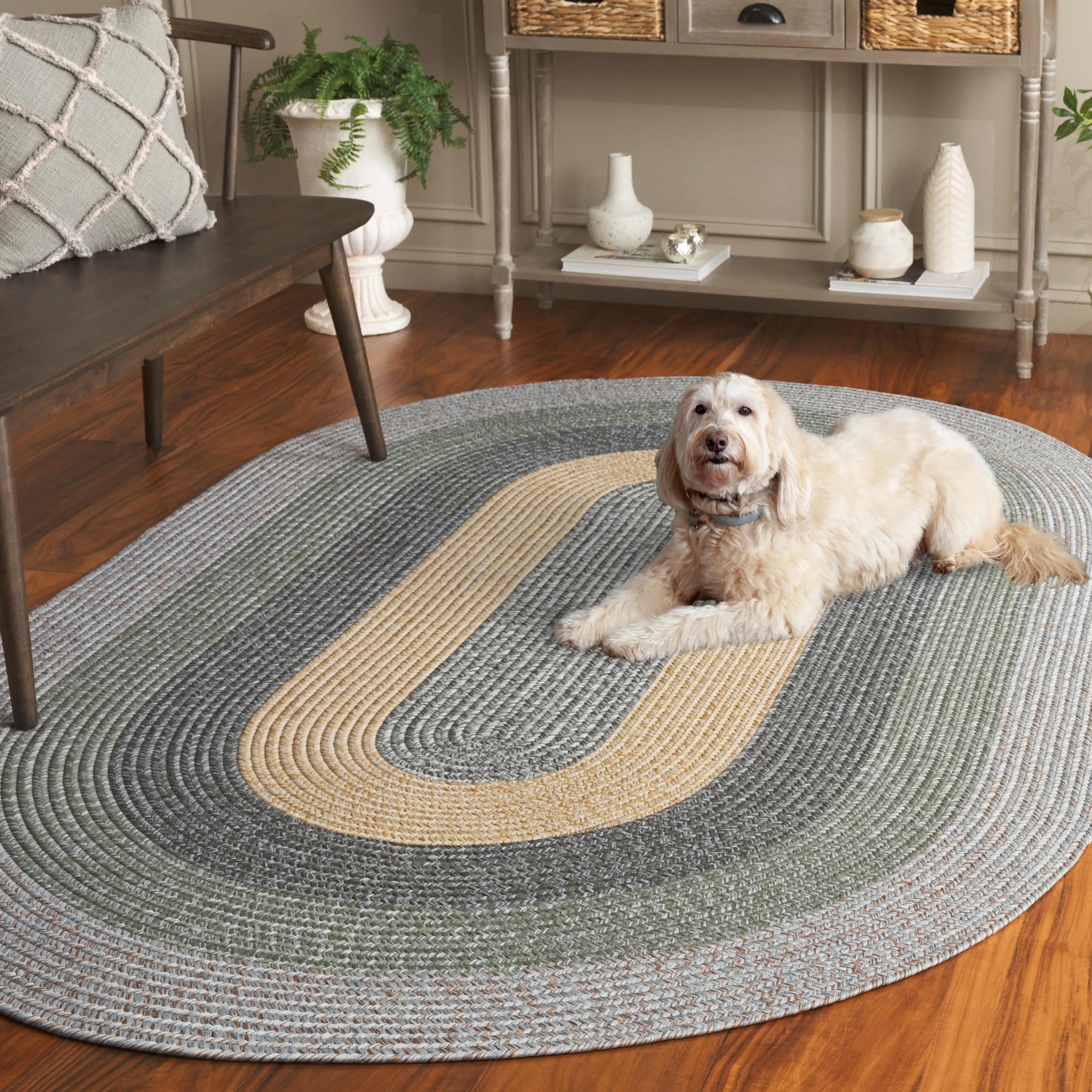 SAFAVIEH Handmade Braided Ecenur Indoor/Outdoor Machine Washable Rug