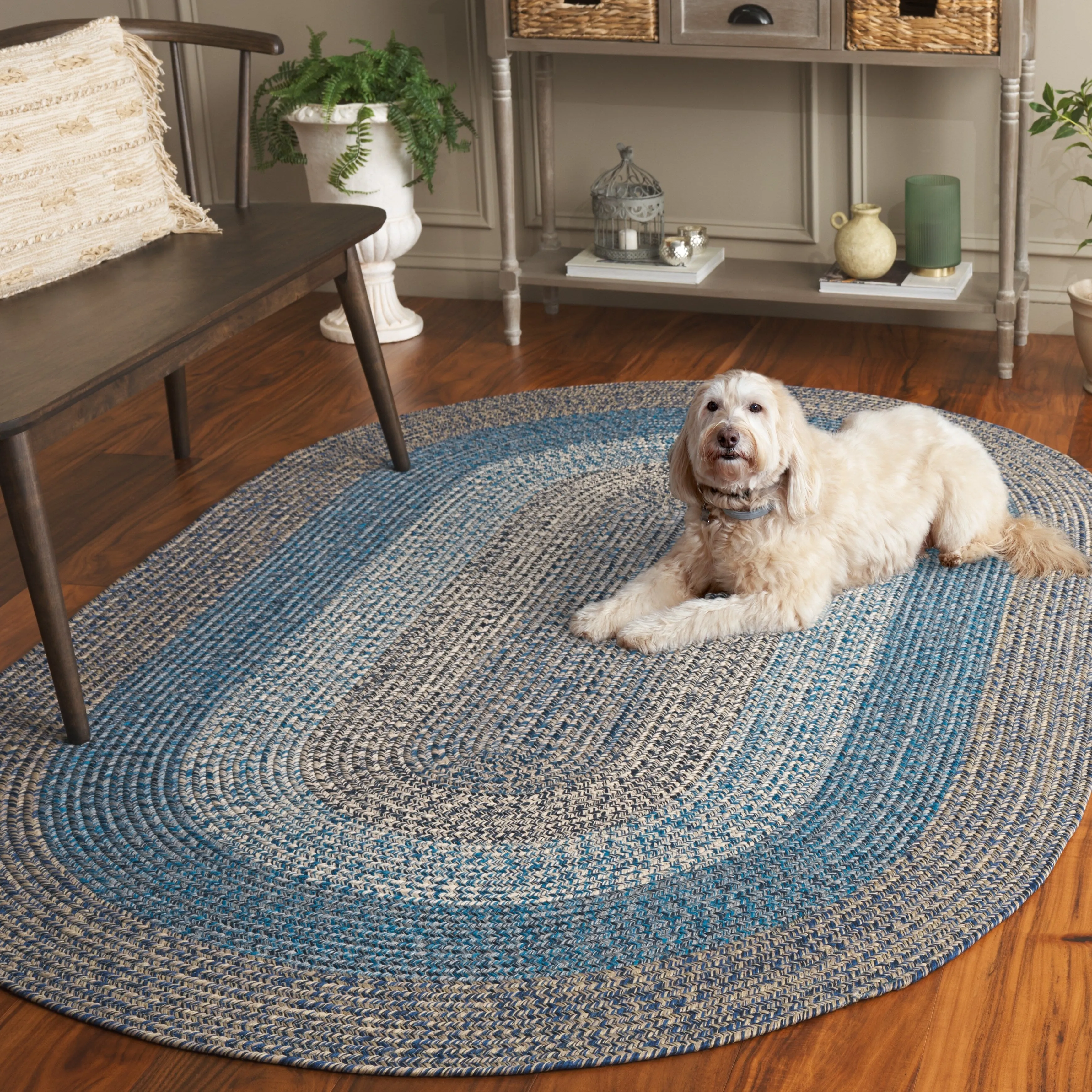 SAFAVIEH Handmade Braided Ecenur Indoor/Outdoor Machine Washable Rug