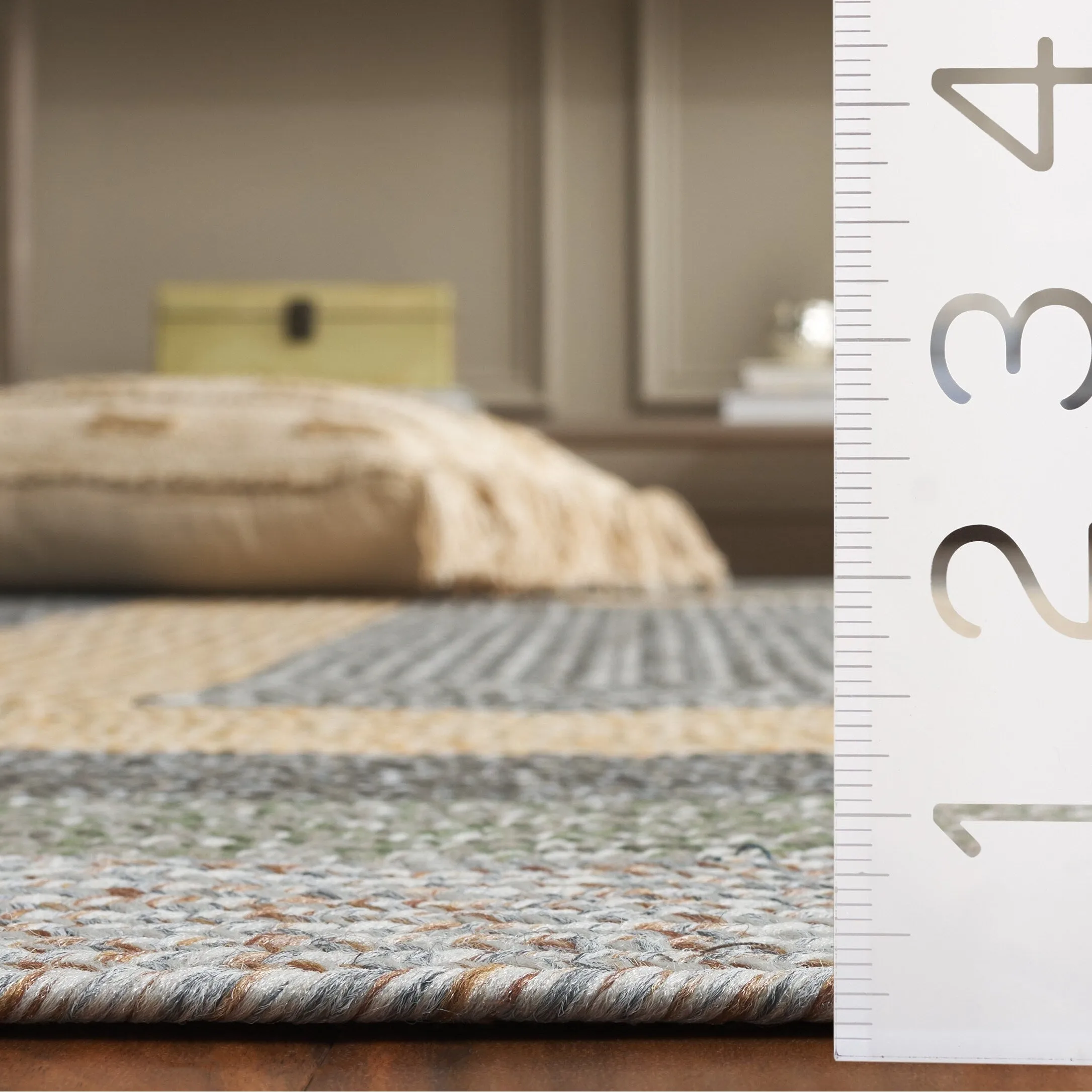 SAFAVIEH Handmade Braided Ecenur Indoor/Outdoor Machine Washable Rug