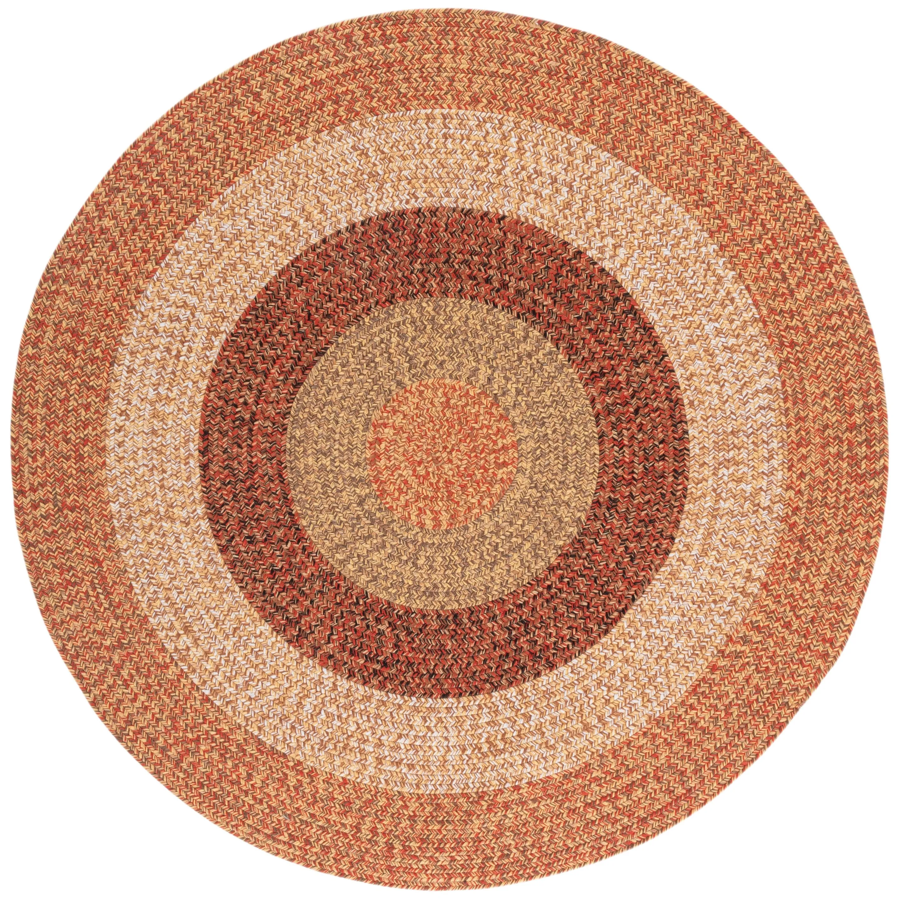 SAFAVIEH Handmade Braided Ecenur Indoor/Outdoor Machine Washable Rug