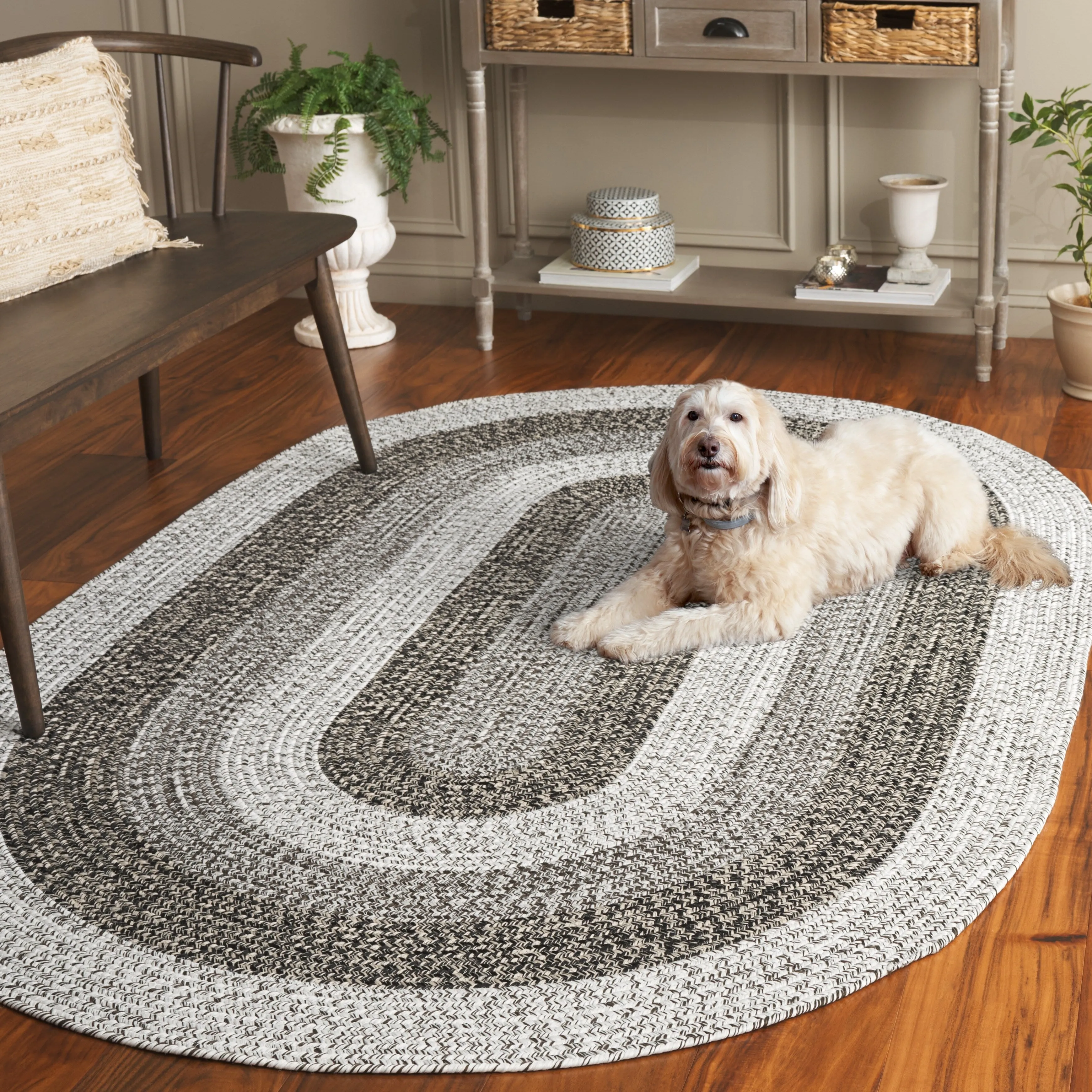SAFAVIEH Handmade Braided Ecenur Indoor/Outdoor Machine Washable Rug