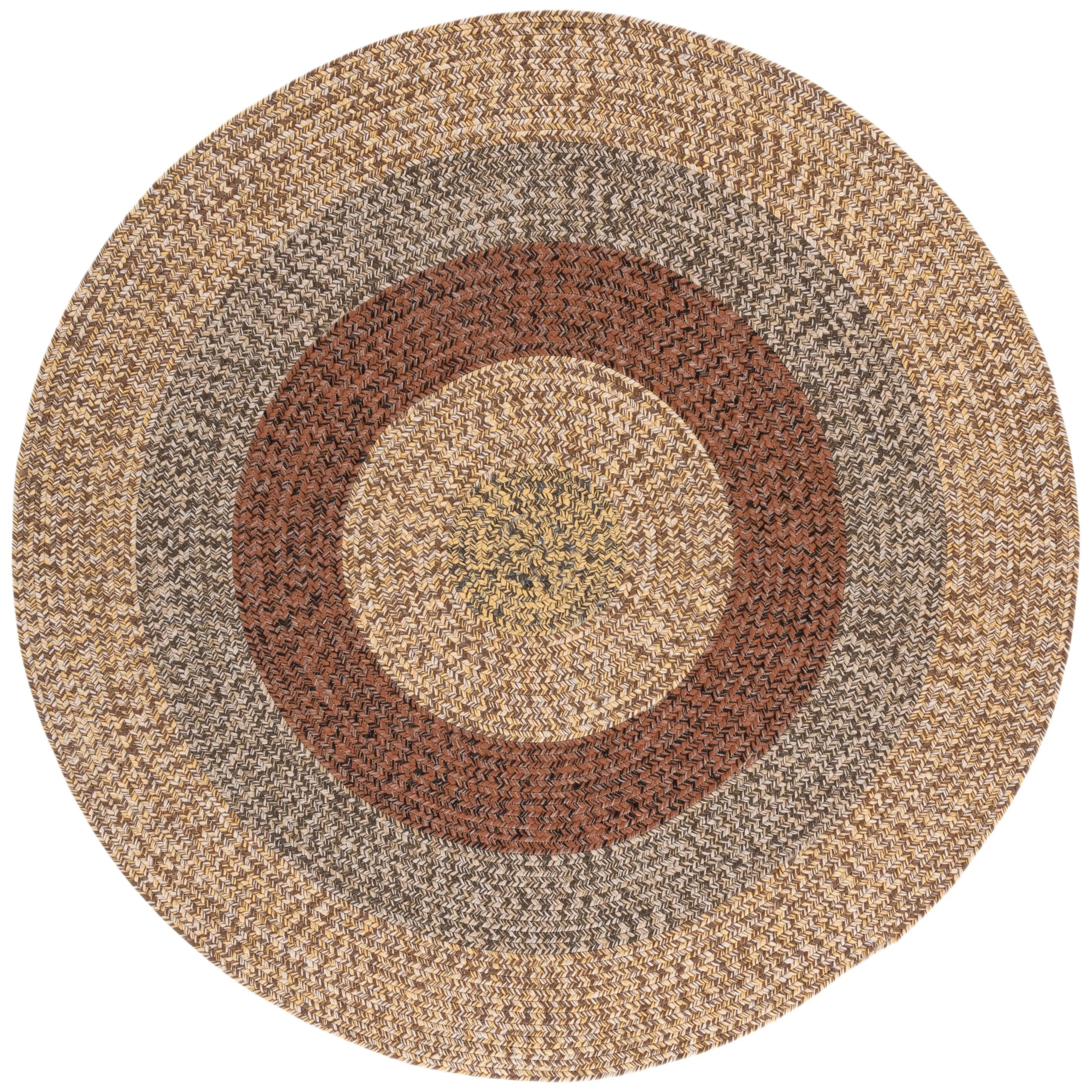 SAFAVIEH Handmade Braided Ecenur Indoor/Outdoor Machine Washable Rug