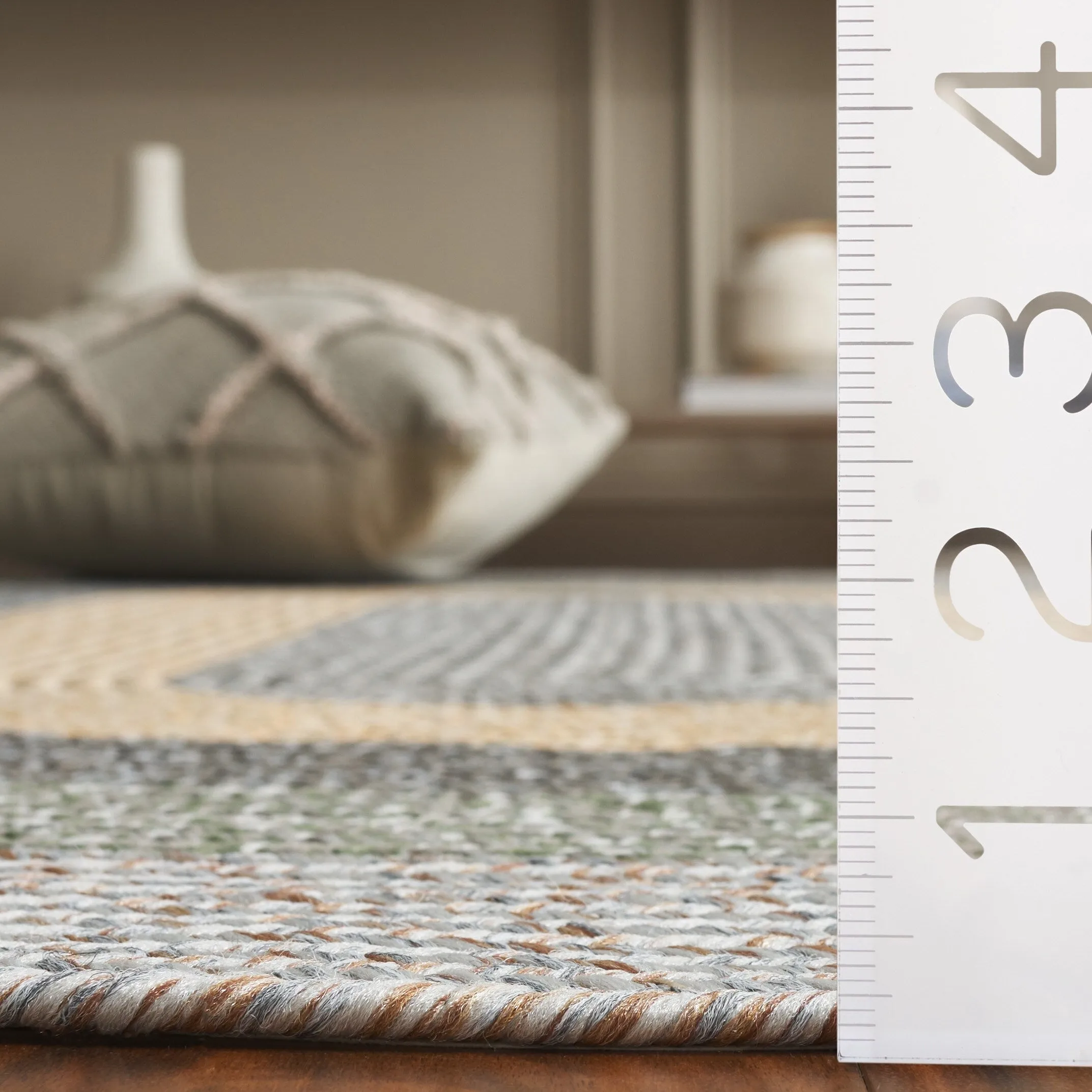 SAFAVIEH Handmade Braided Ecenur Indoor/Outdoor Machine Washable Rug