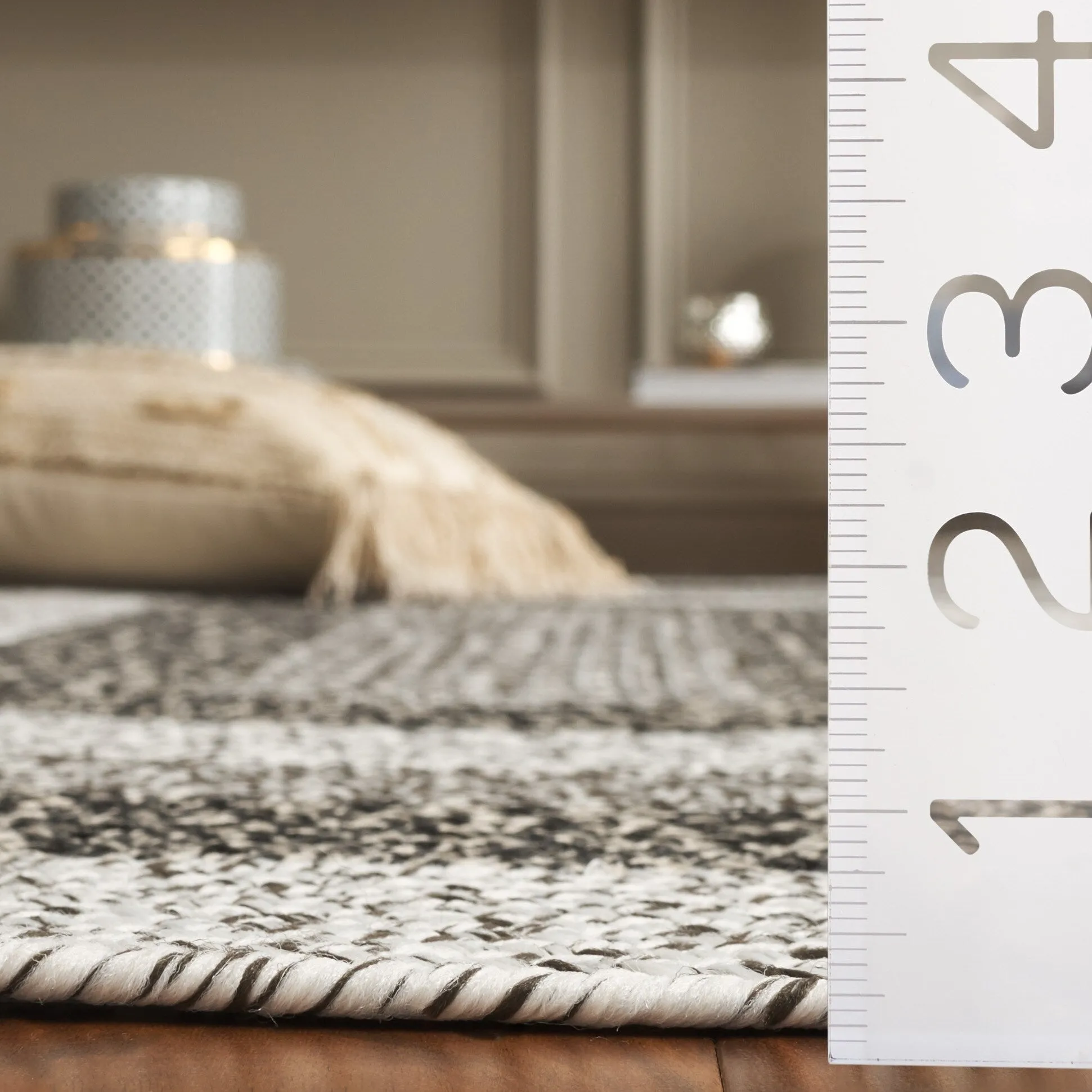 SAFAVIEH Handmade Braided Ecenur Indoor/Outdoor Machine Washable Rug