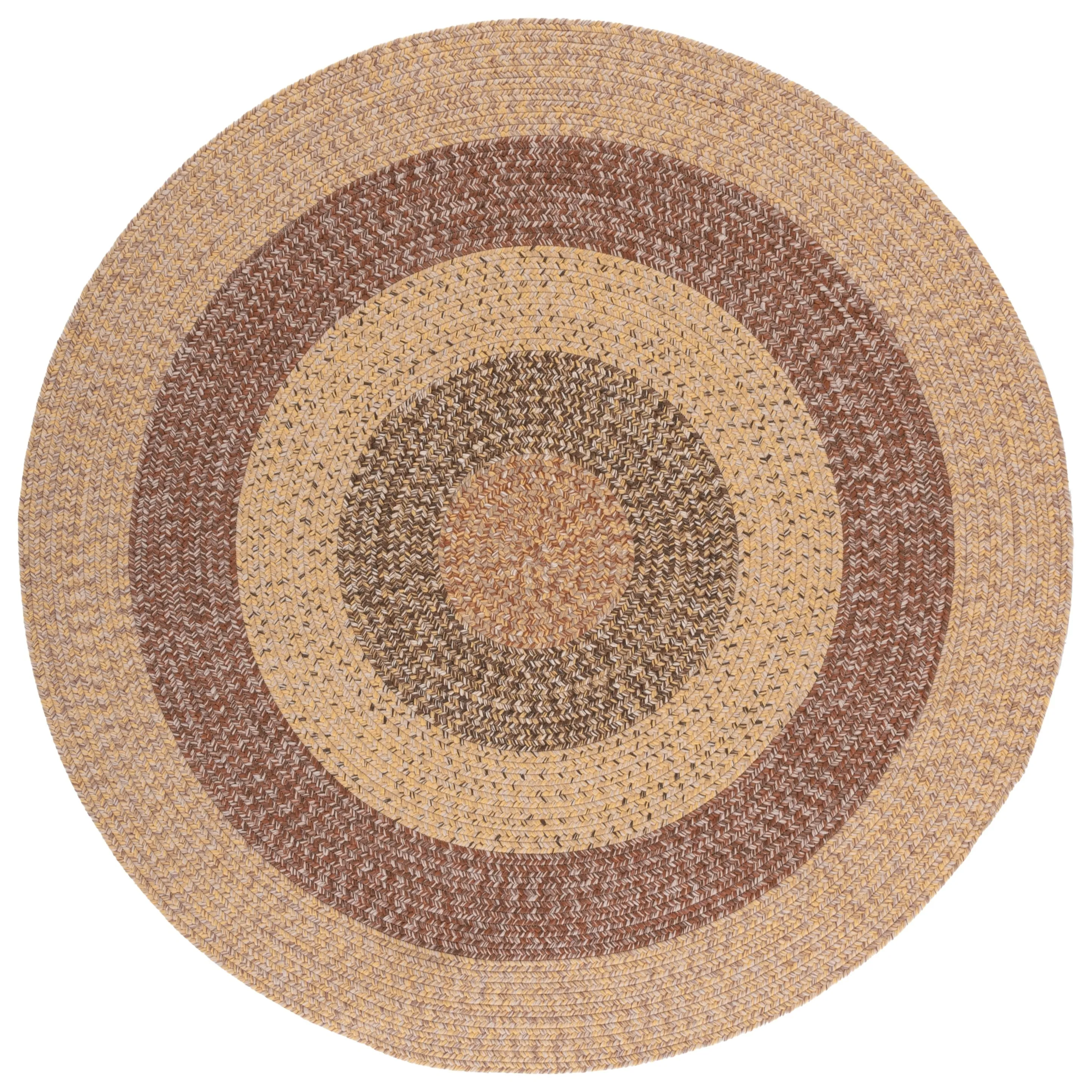 SAFAVIEH Handmade Braided Ecenur Indoor/Outdoor Machine Washable Rug