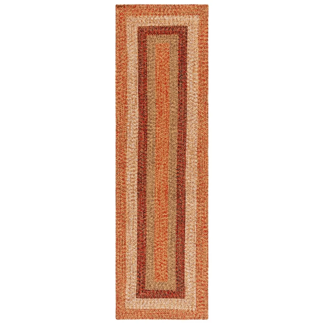 SAFAVIEH Handmade Braided Ecenur Indoor/Outdoor Machine Washable Rug