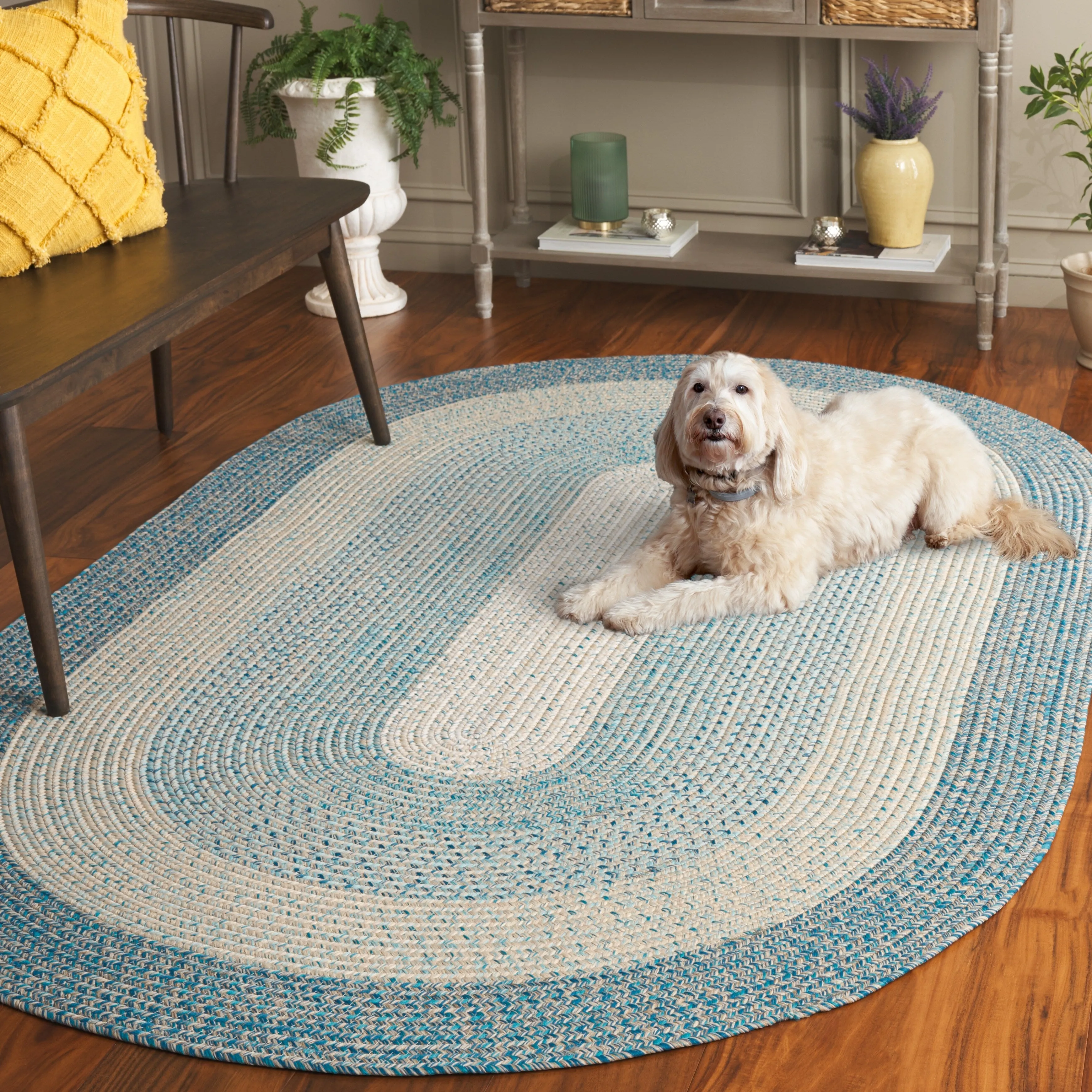 SAFAVIEH Handmade Braided Ecenur Indoor/Outdoor Machine Washable Rug