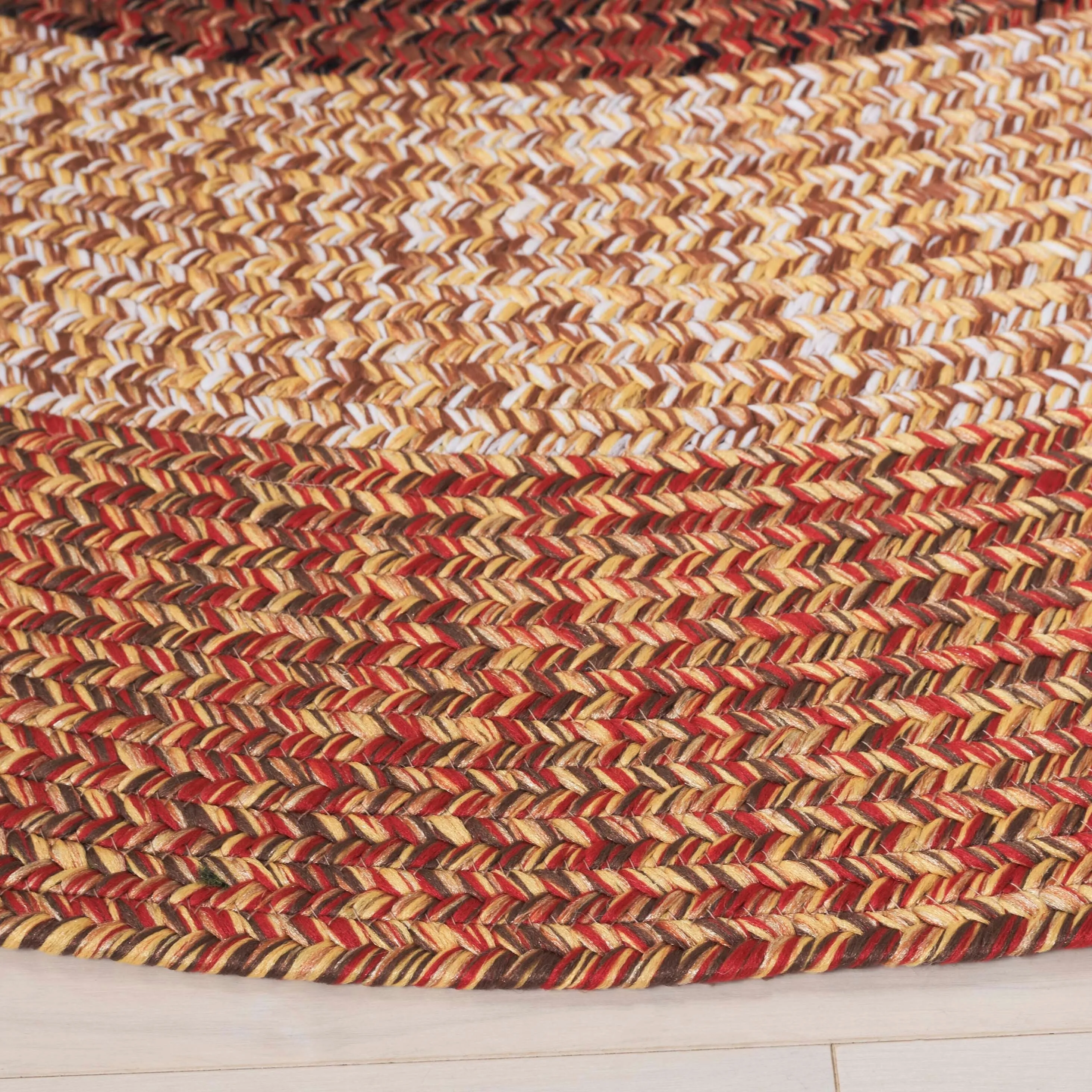 SAFAVIEH Handmade Braided Ecenur Indoor/Outdoor Machine Washable Rug