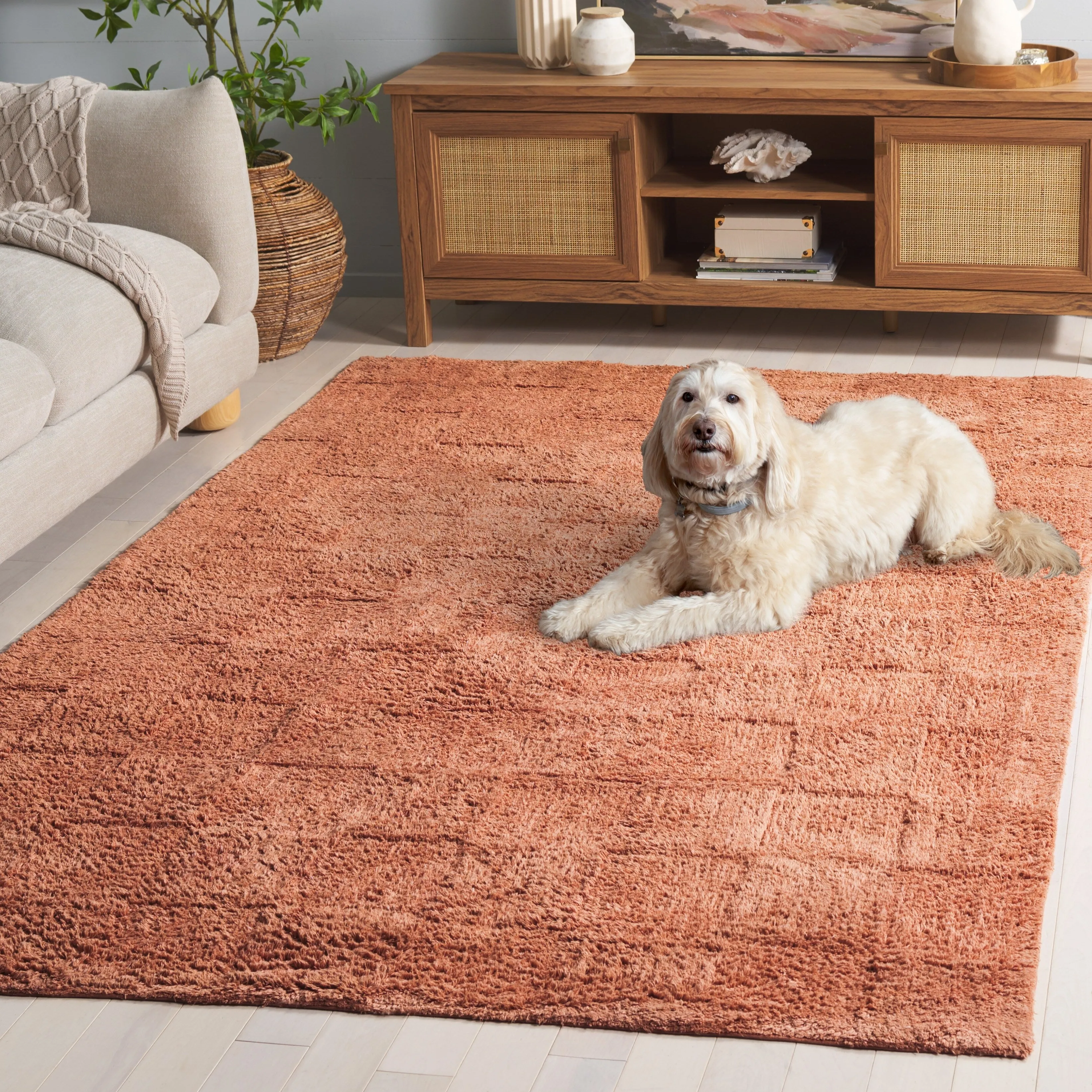 SAFAVIEH Handmade Easy Aygul Care Machine Washable Rug