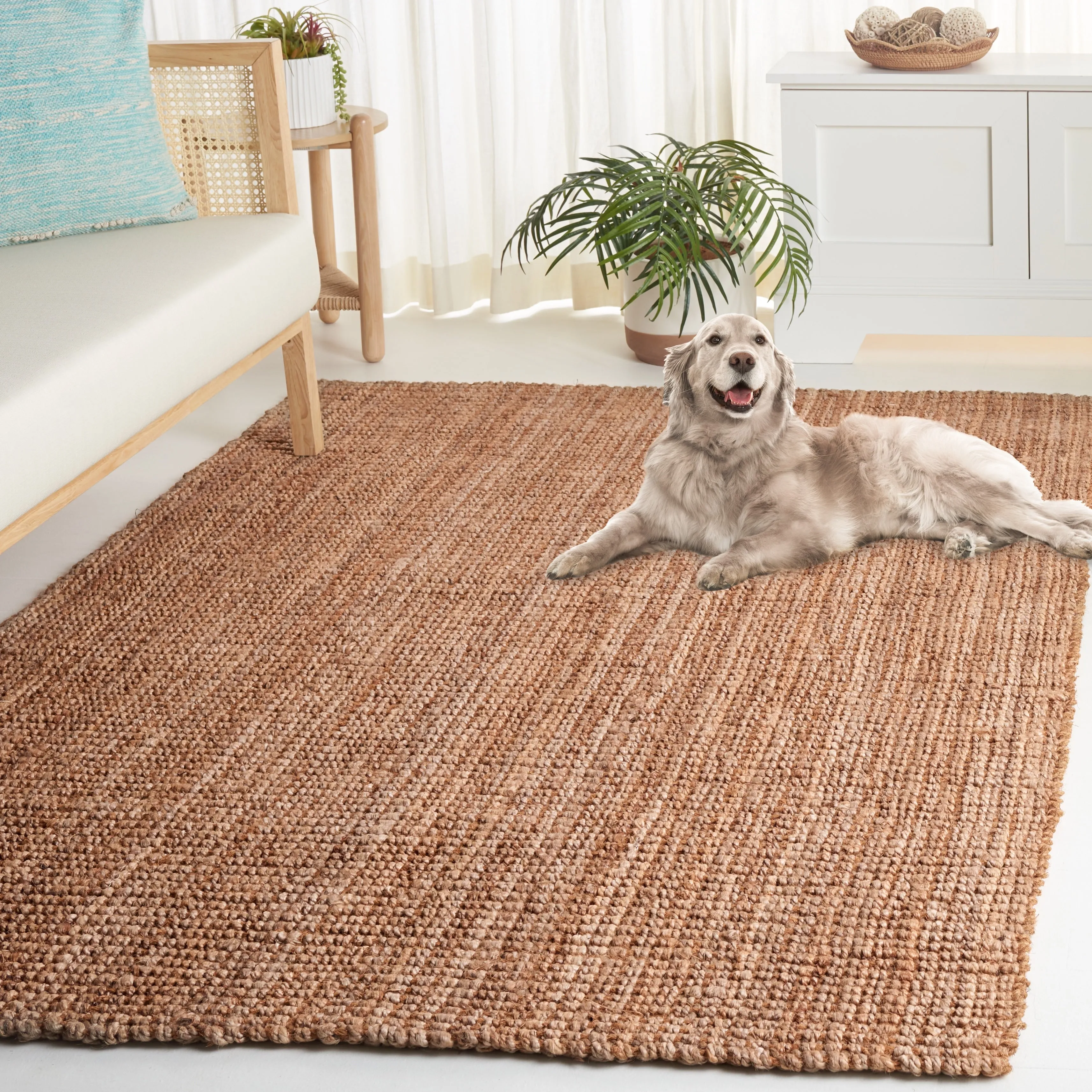 SAFAVIEH. Handmade Natural Fiber Rihanna Casual Jute Rug