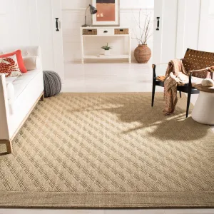SAFAVIEH. Palm Beach Ferne Trellis Sisal/ Jute Rug