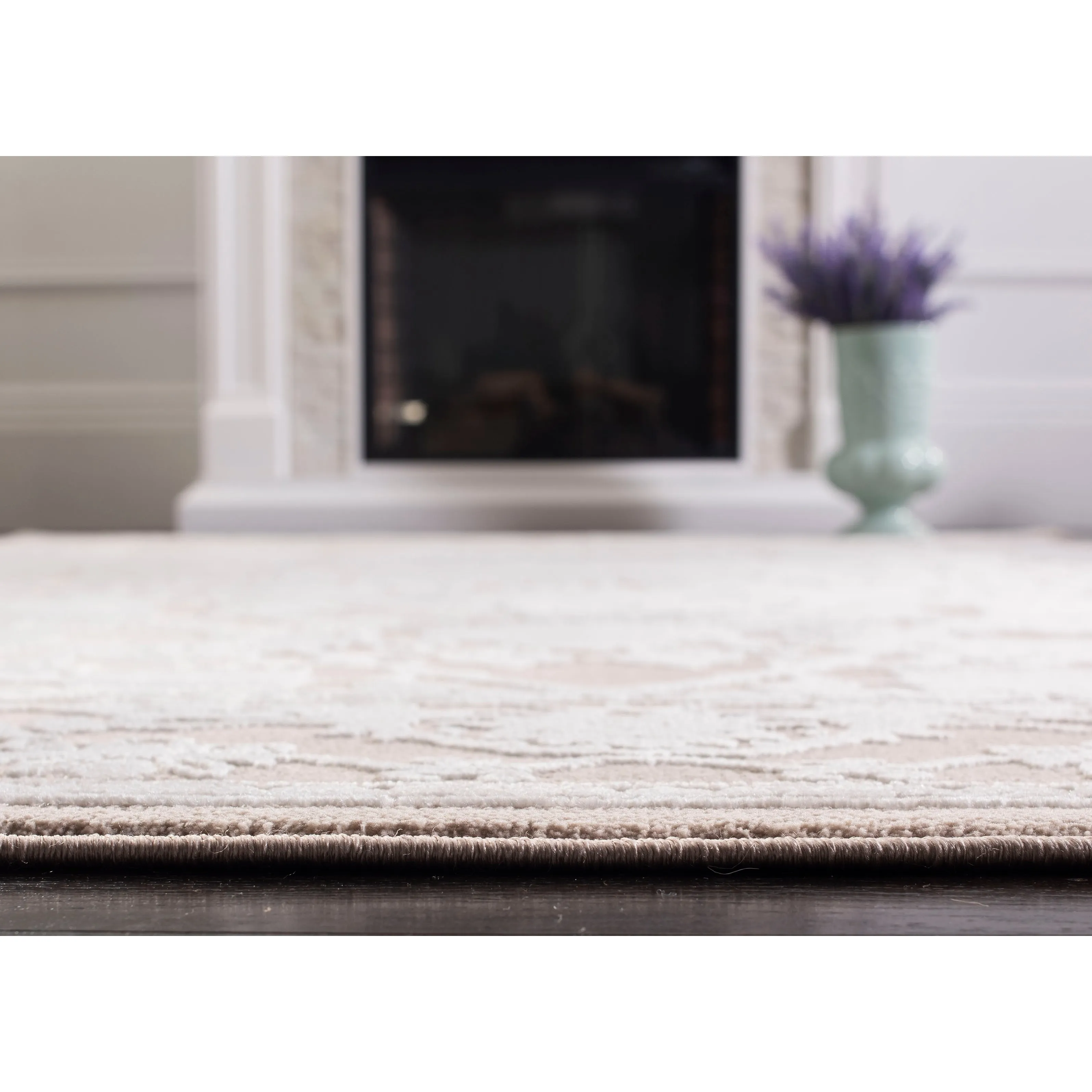 SAFAVIEH Reflection Eulalie Modern Oriental Rug
