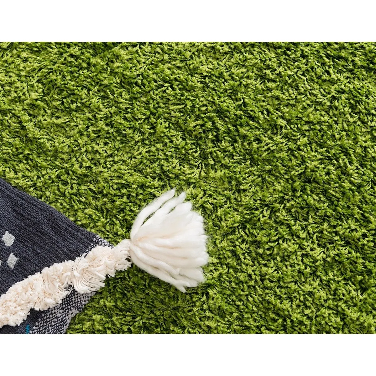 Shag Laurian Collection Area Rug