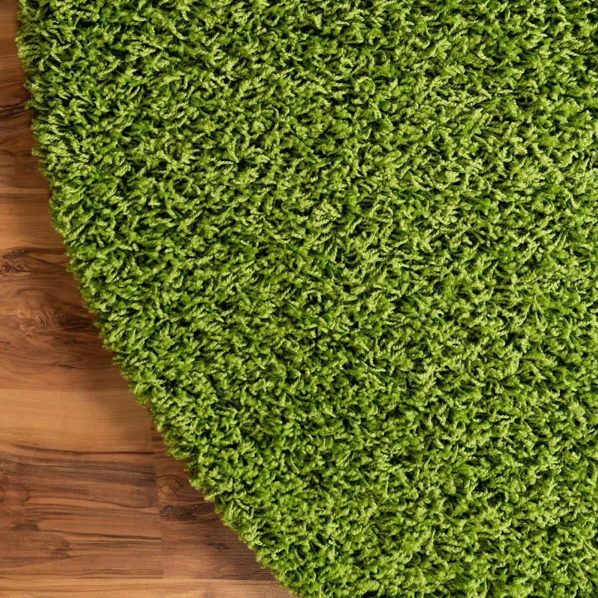 Shag Laurian Collection Area Rug