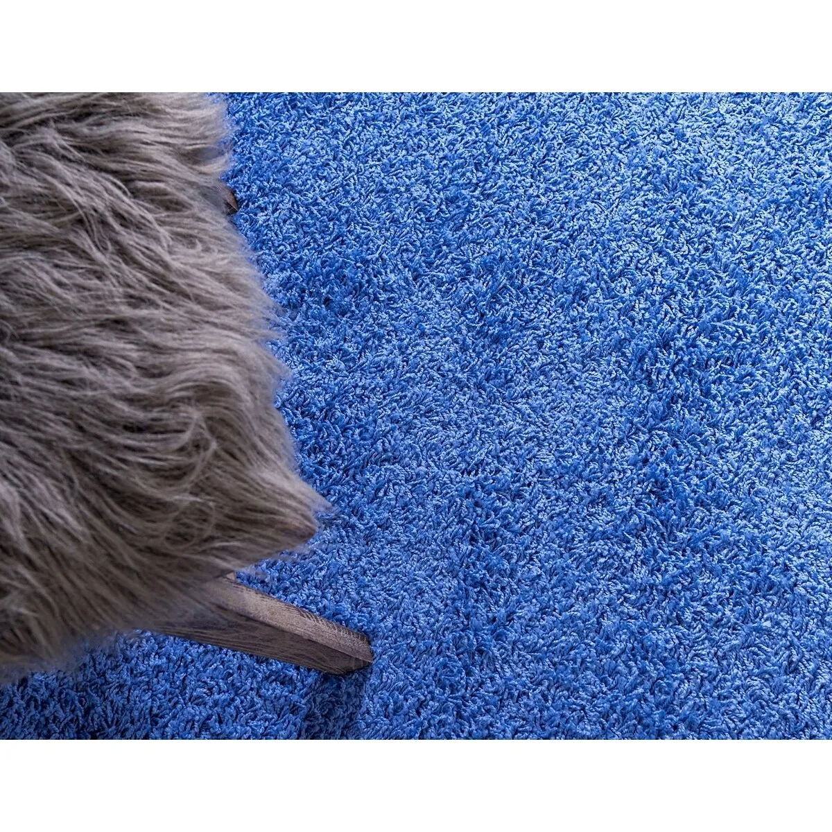 Shag Laurian Collection Area Rug