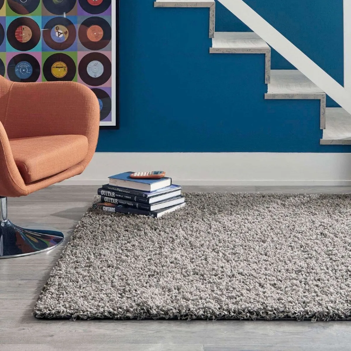 Shag Laurian Collection Area Rug