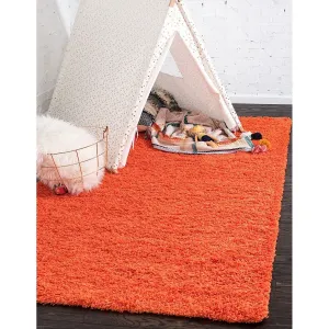 Shag Laurian Collection Area Rug