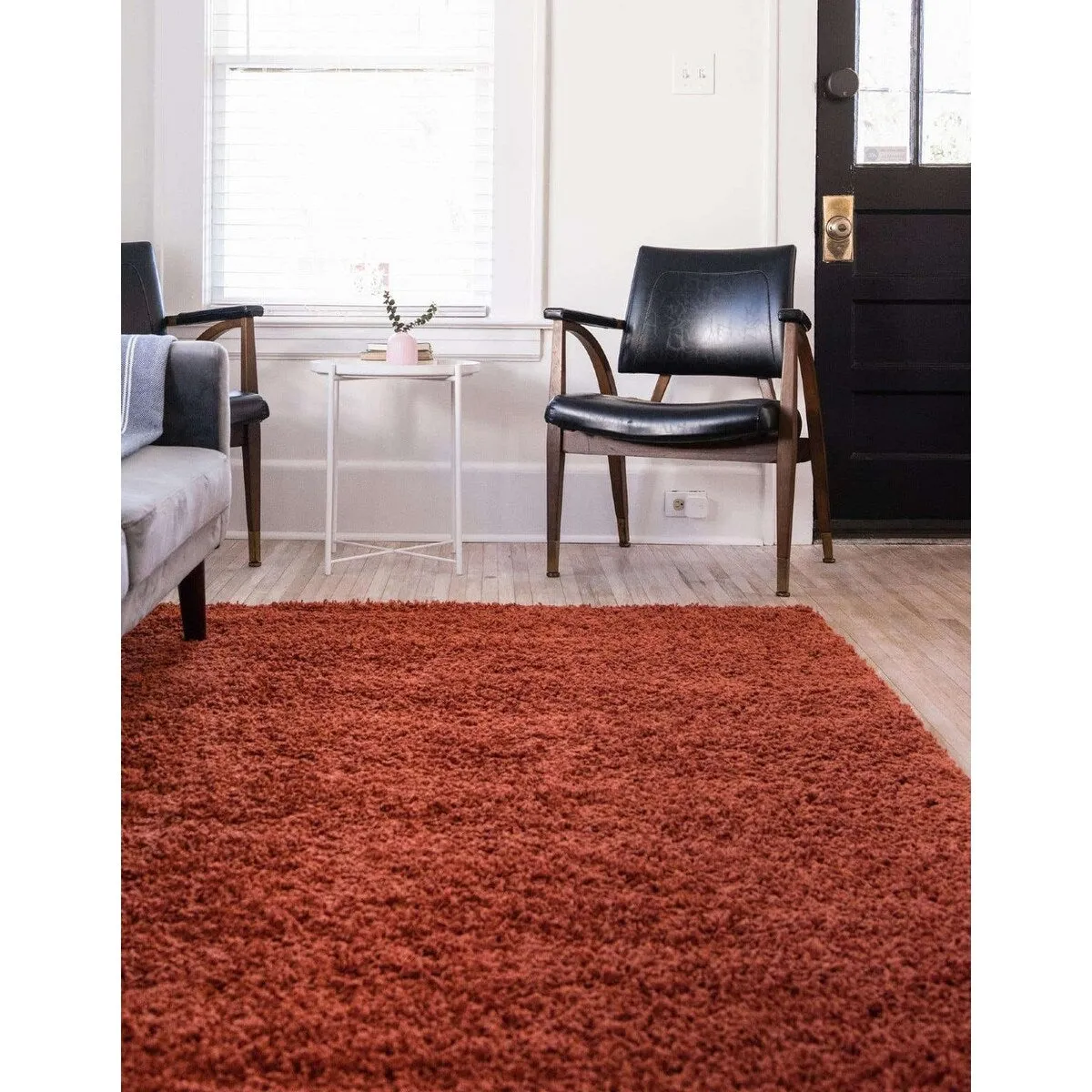 Shag Laurian Collection Area Rug