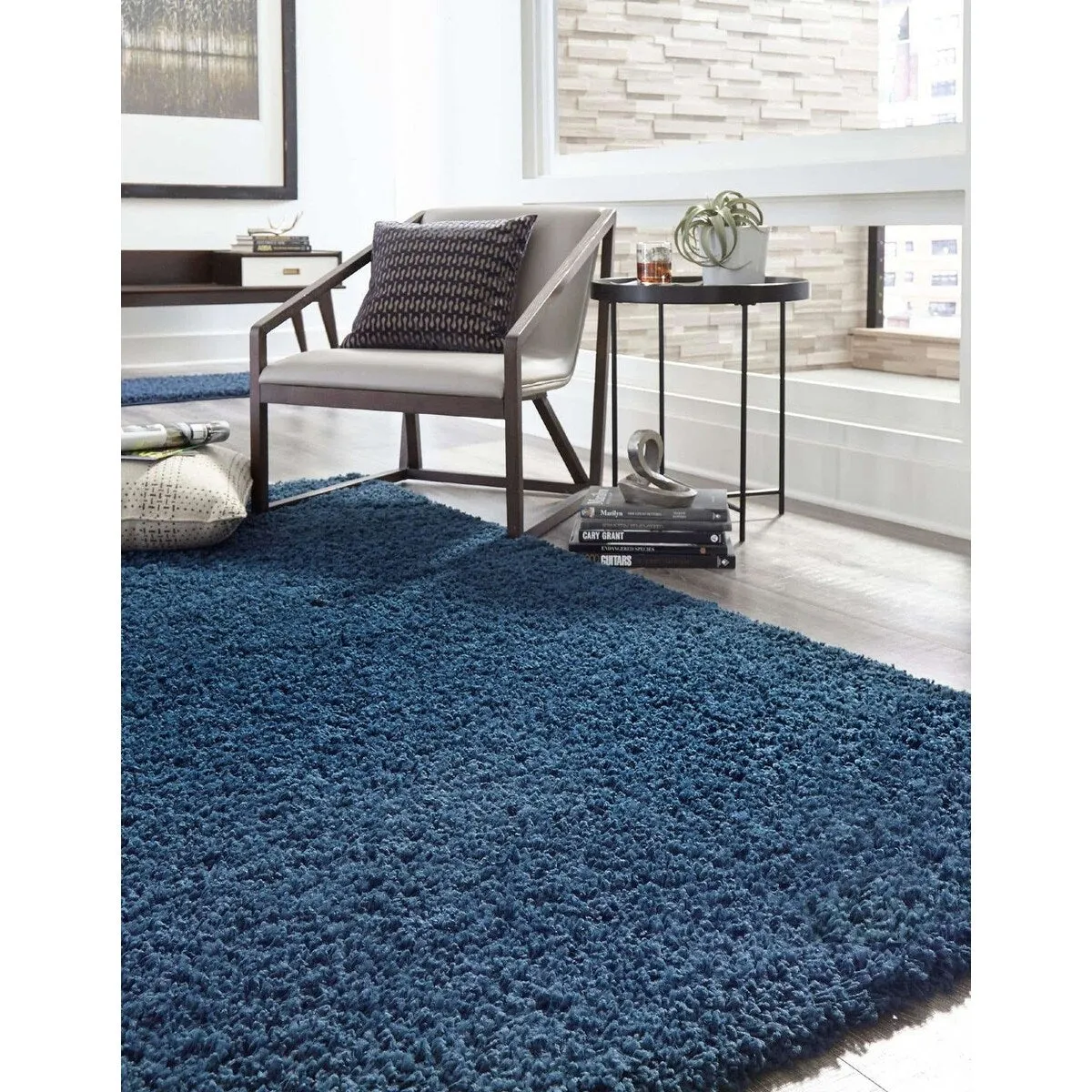 Shag Laurian Collection Area Rug