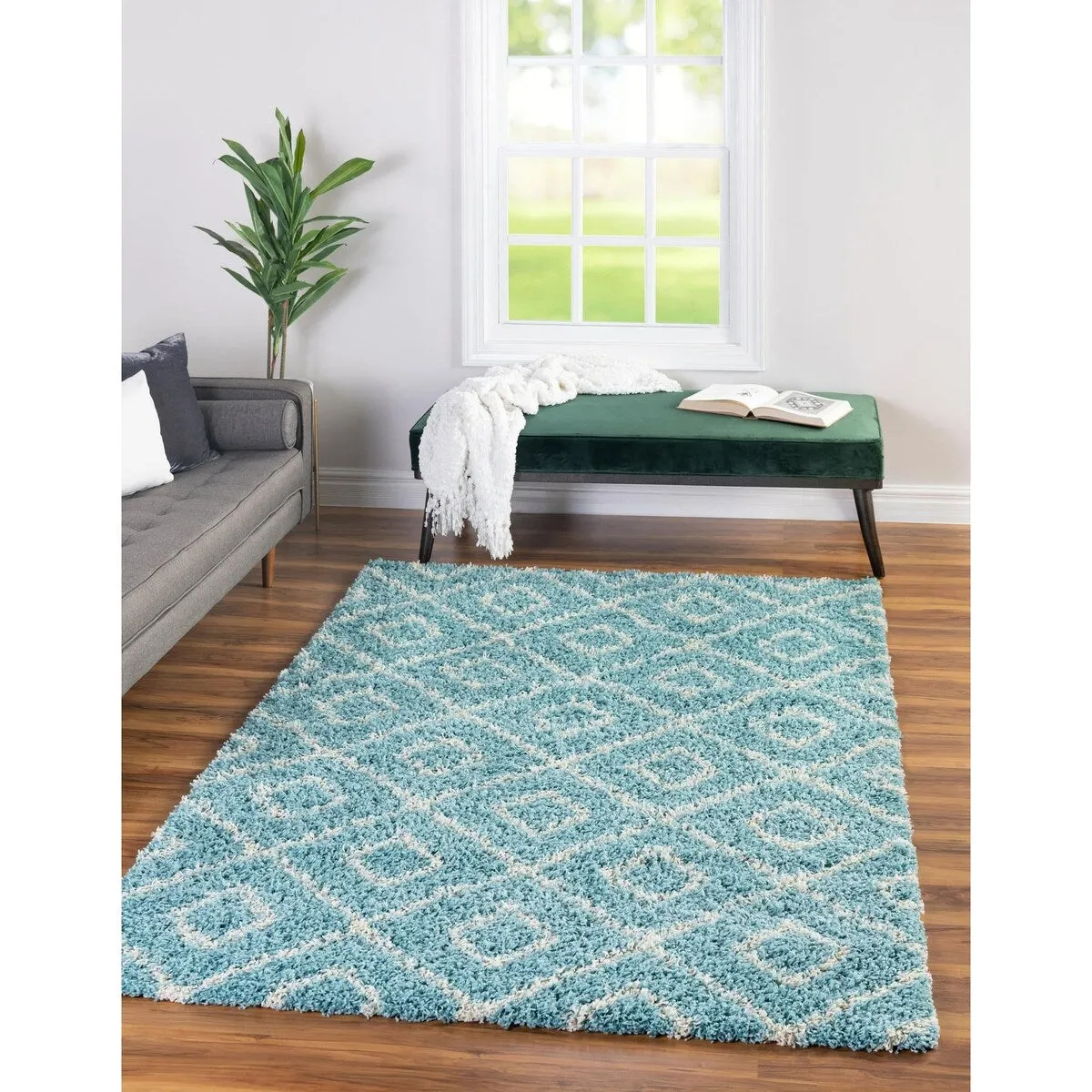 Shag Olido Collection Area Rug