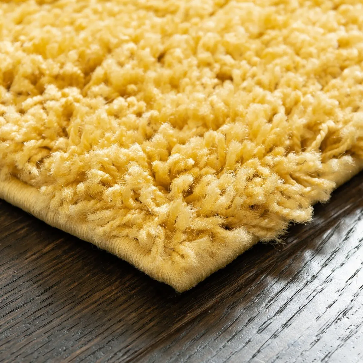 Shag Zester Collection Area Rug