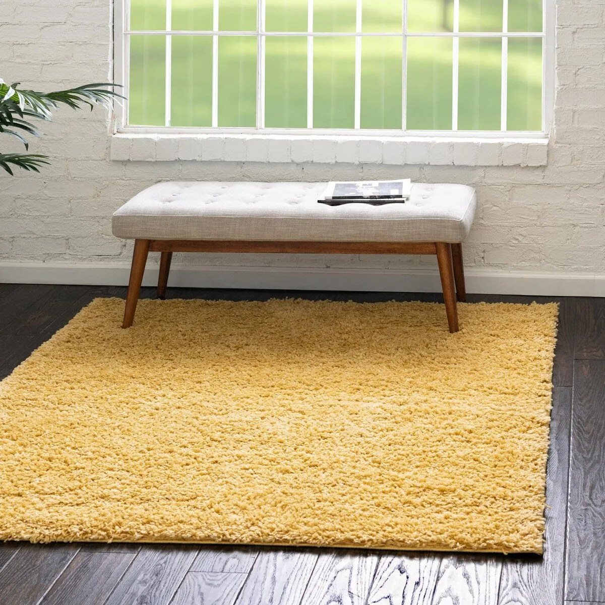 Shag Zester Collection Area Rug