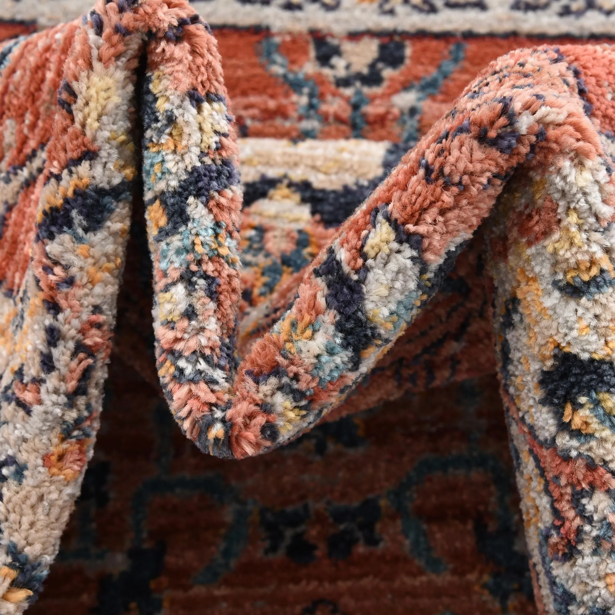 Traditional Nixa Collection Area Rug
