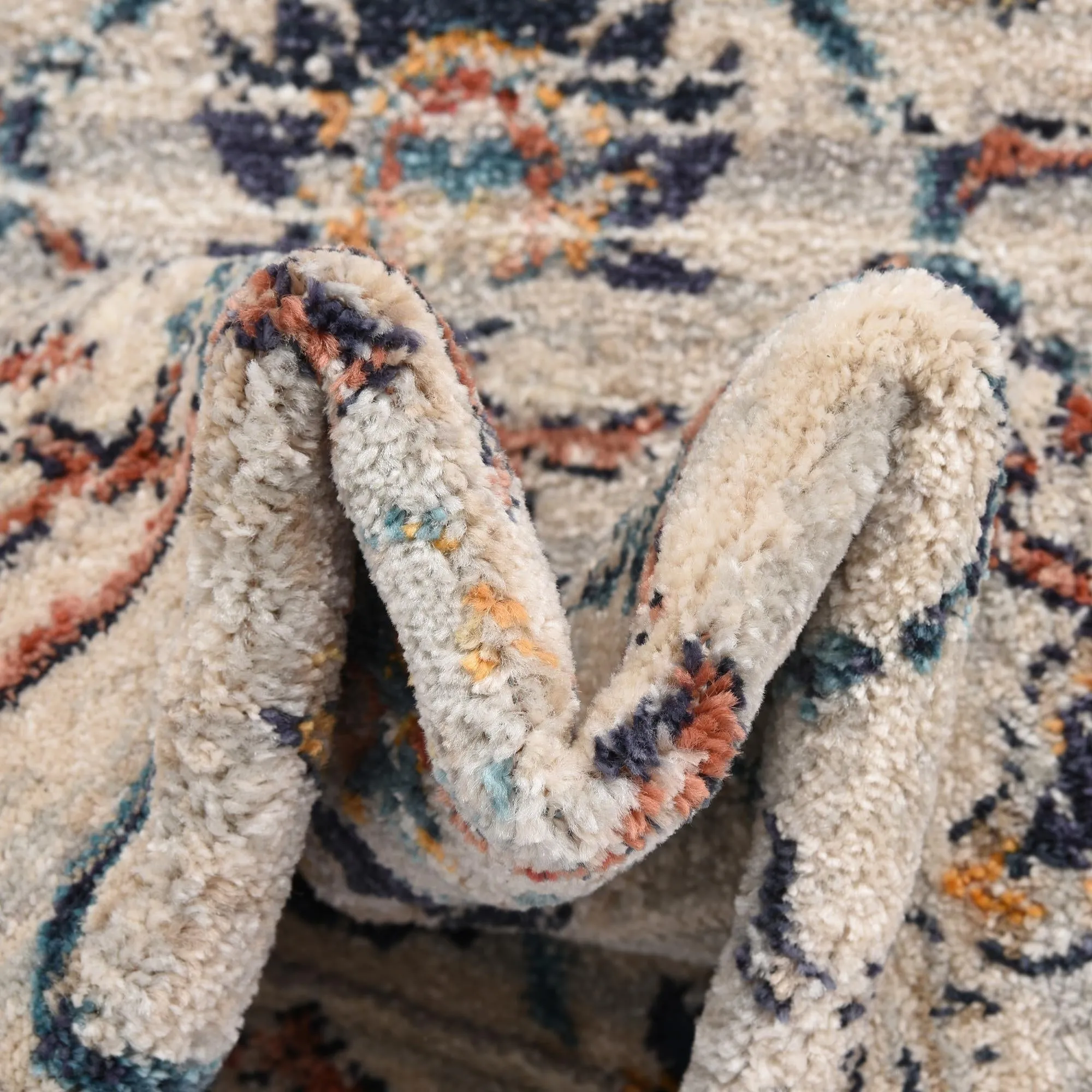 Traditional Nixa Collection Area Rug