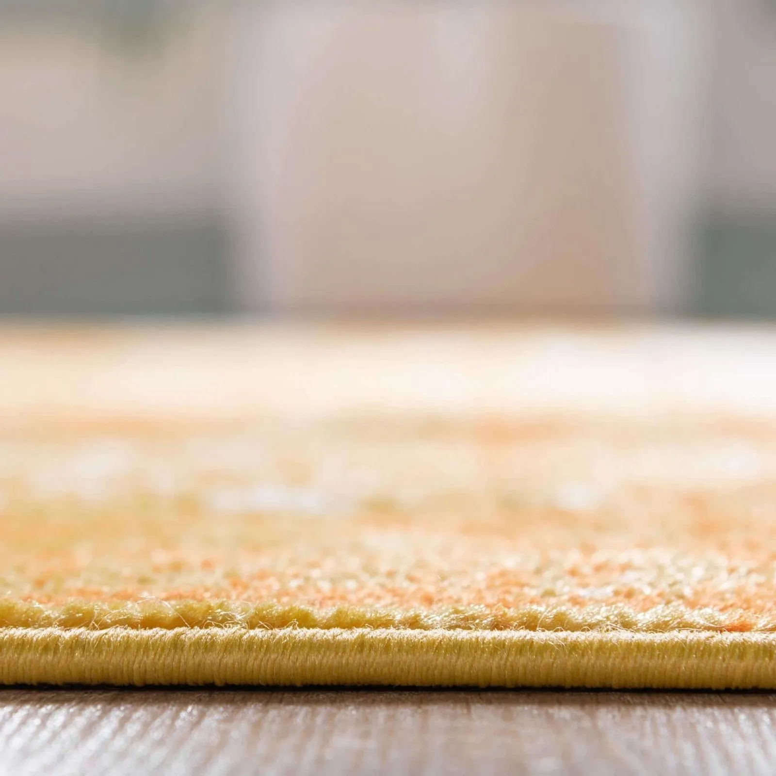 Transitional Fredo Collection Area Rug